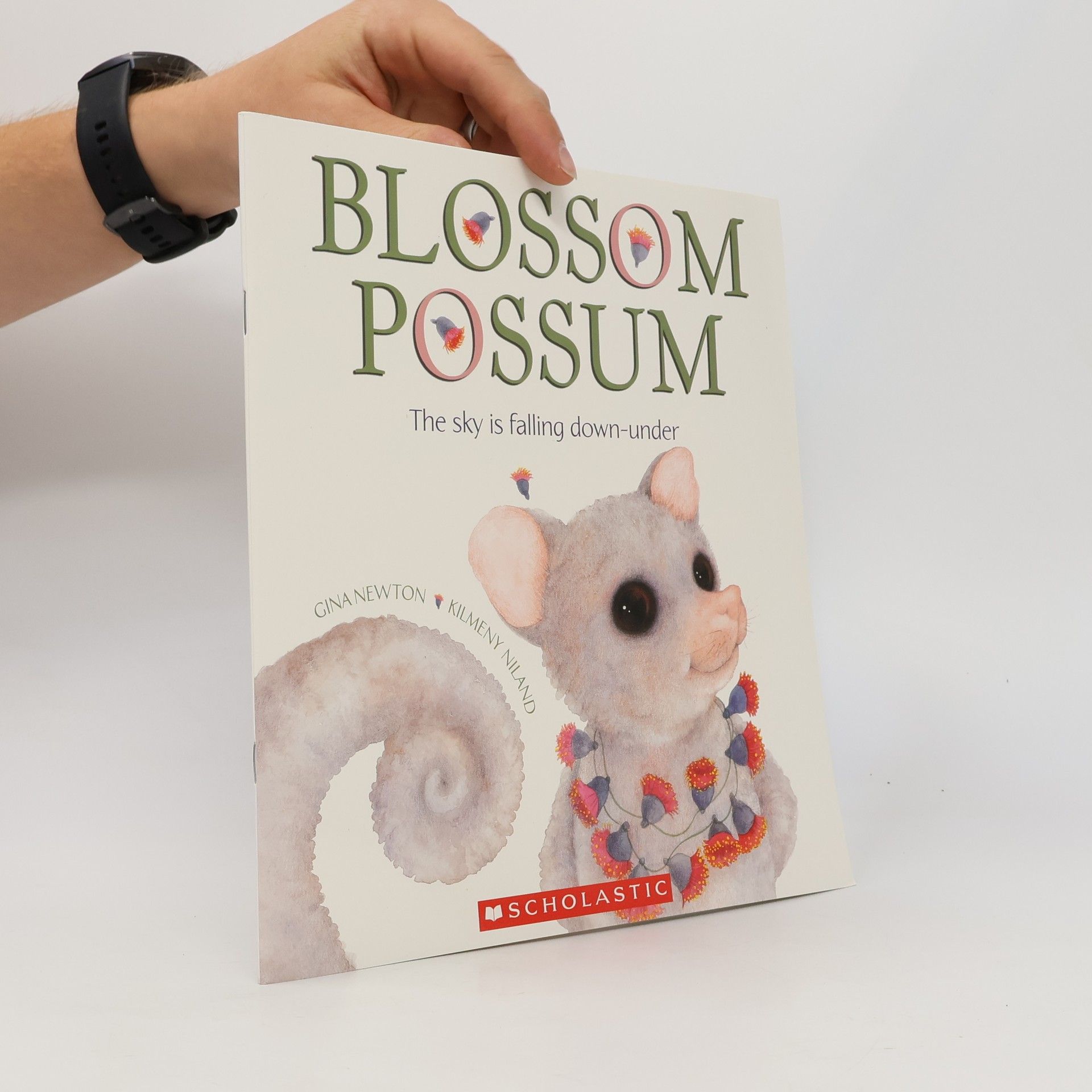 Kilmeny Niland Blossom Possum