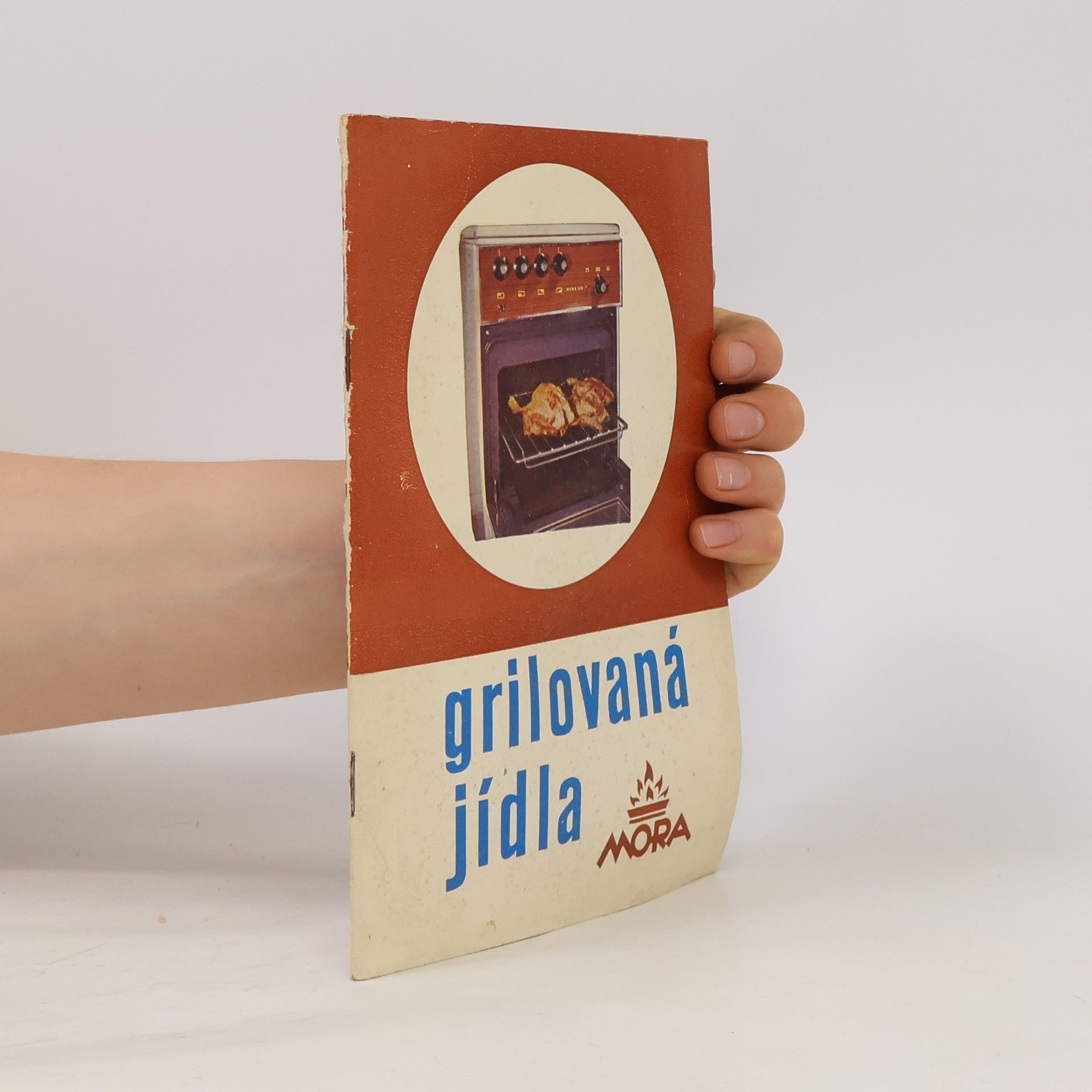 Kolektiv autorů Grilovaná jídla