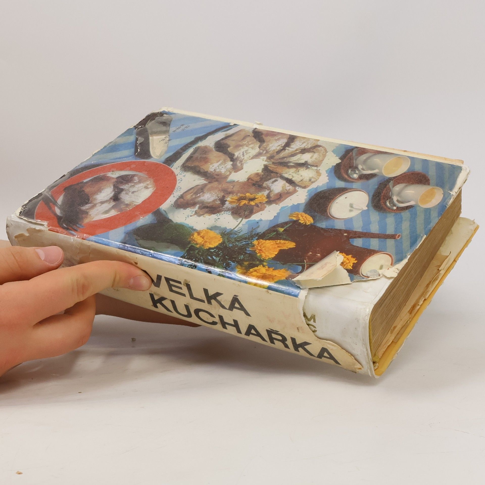 Vilém Vrabec Velká kuchařka