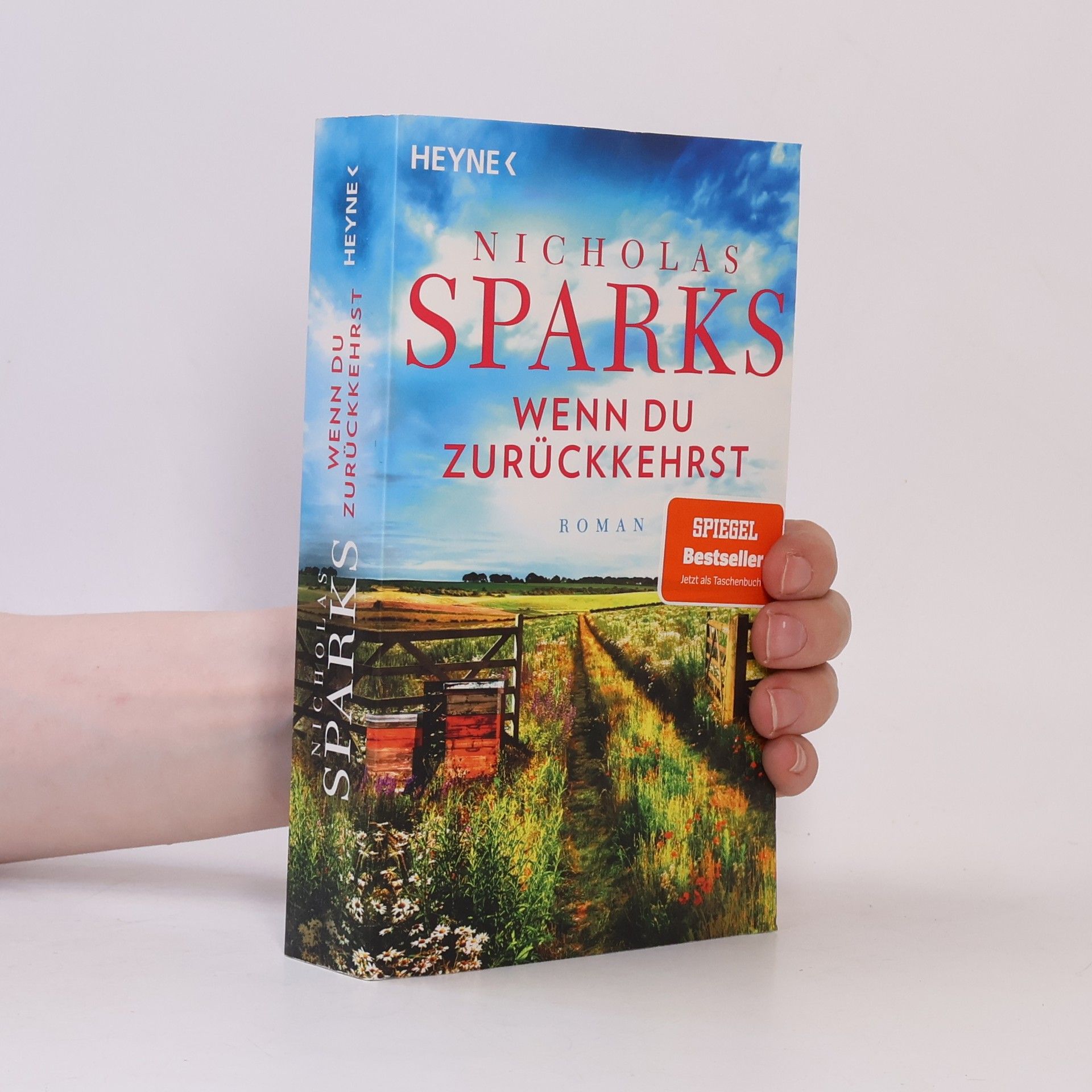 Nicholas Sparks Wenn du zurückkehrst