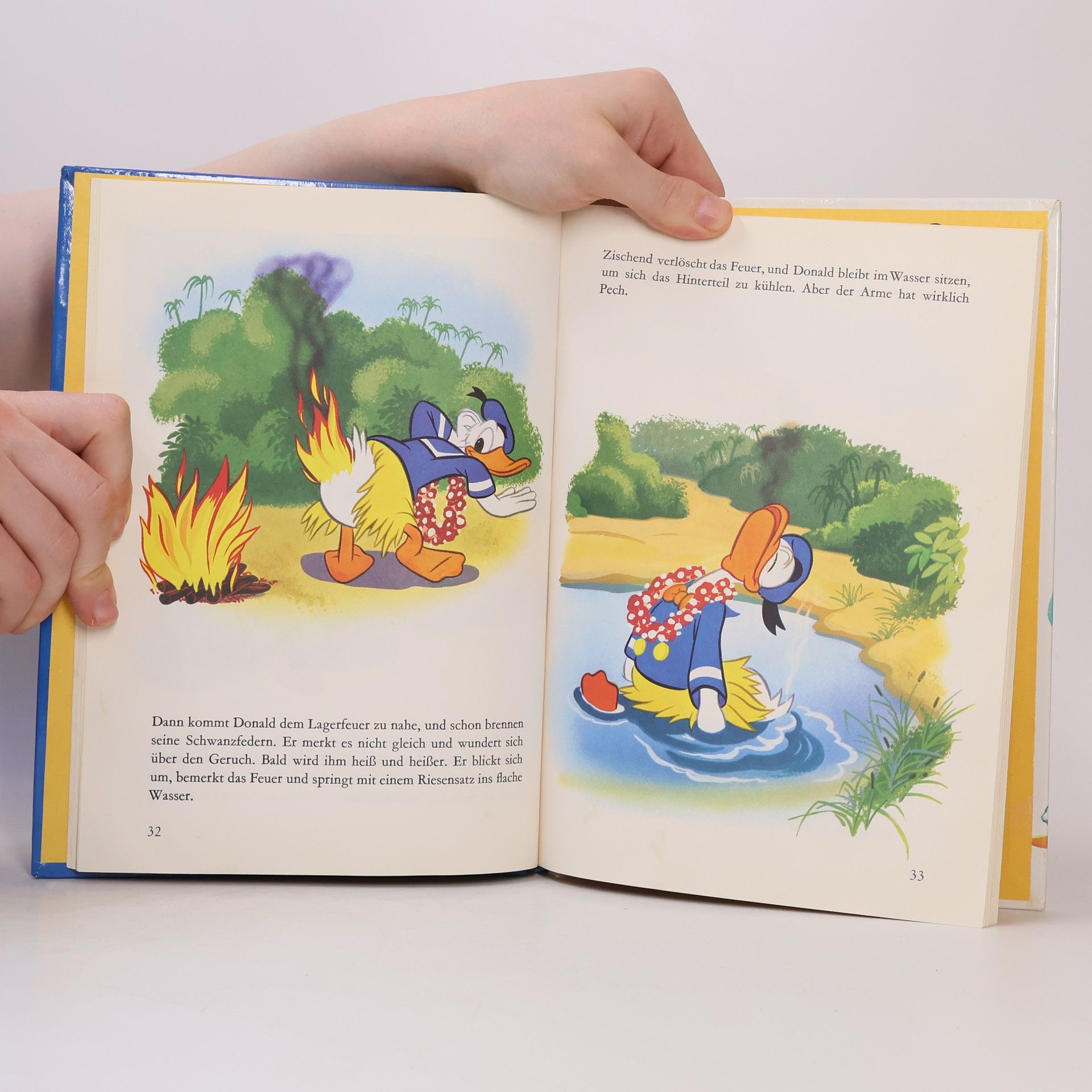 Walt Disney Das grosse Micky-Maus-Buch