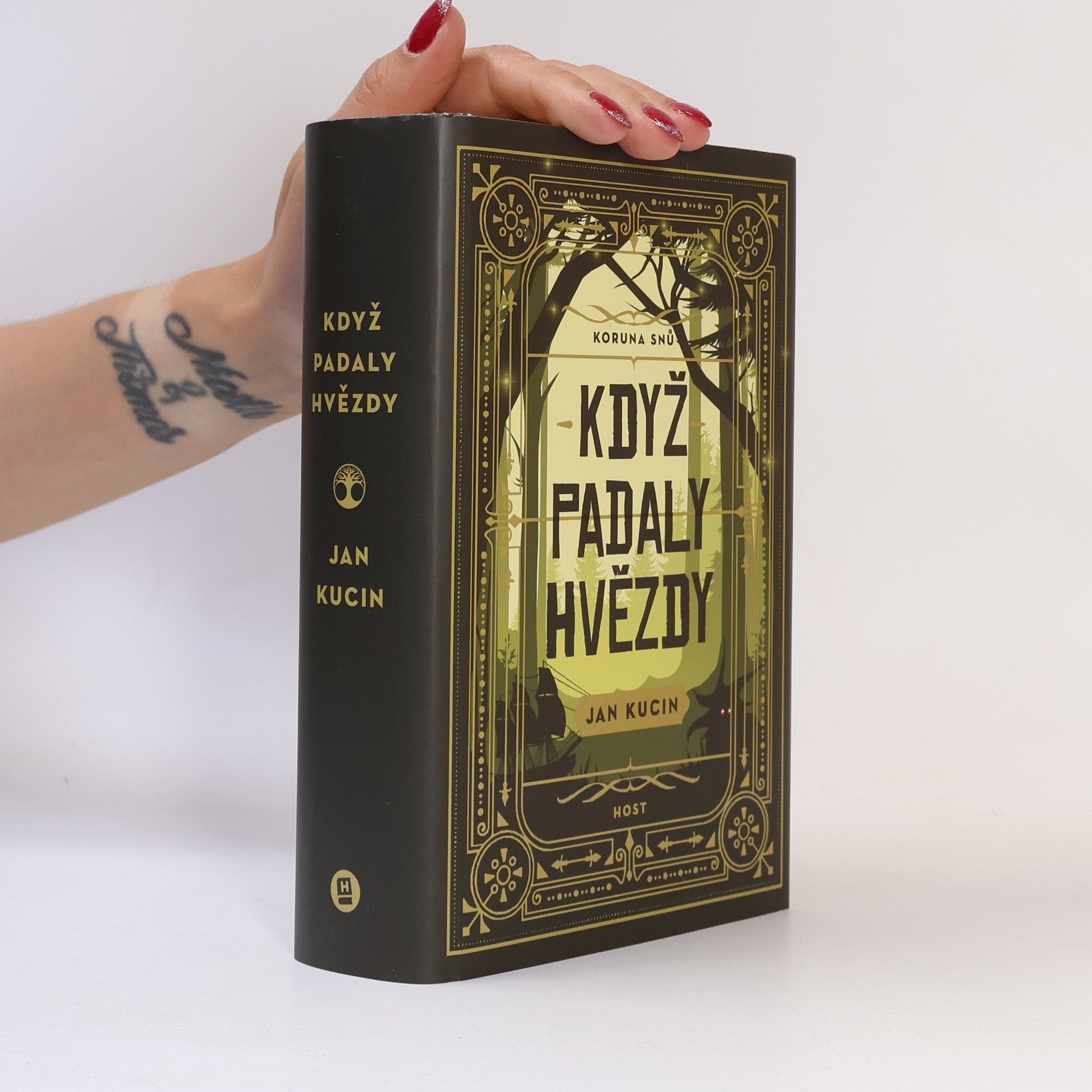 Jan Kucin Koruna snů. Když padaly hvězdy