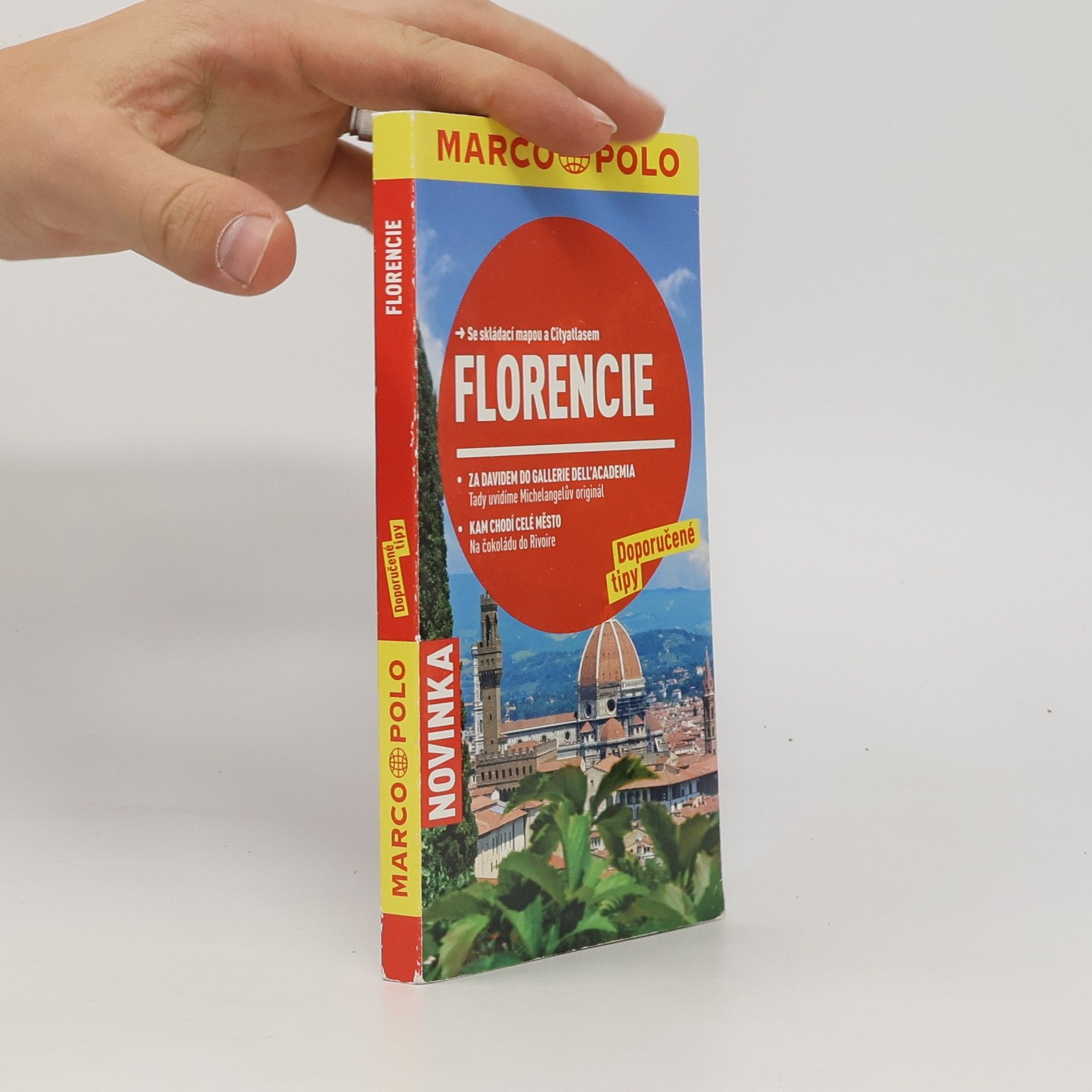 Collectif d'auteurs Florencie