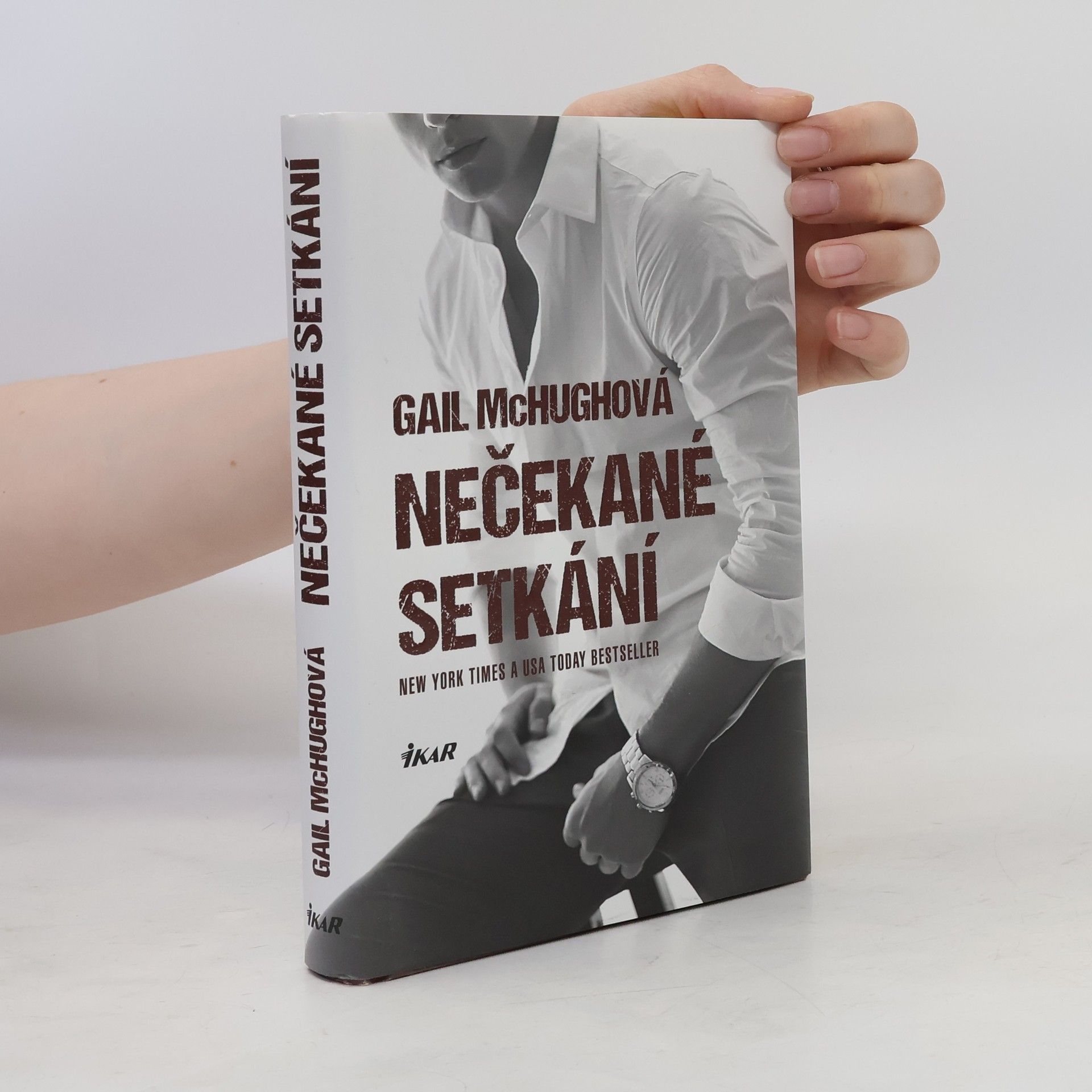 Gail McHugh Nečekané setkání