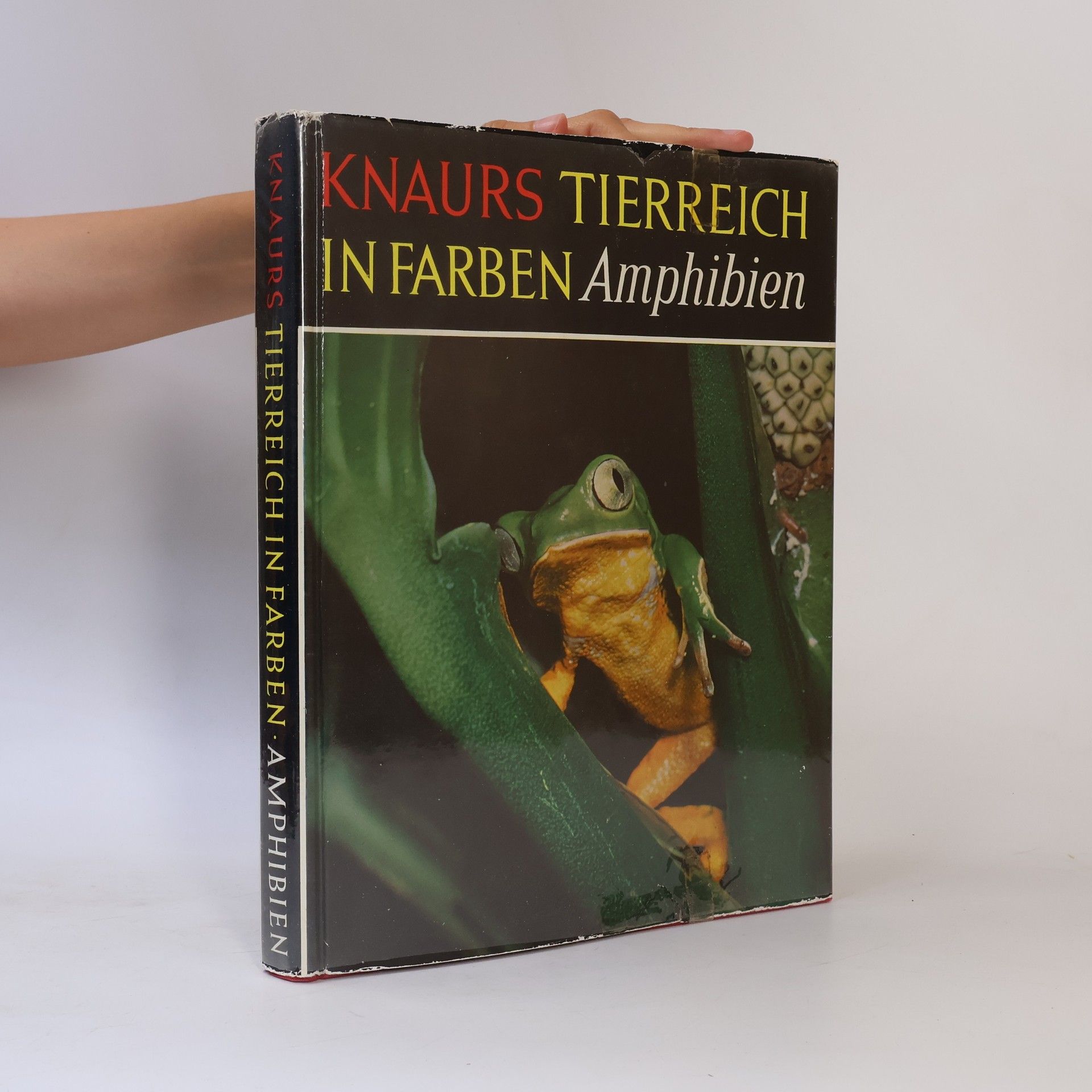 Doris Cochran Knaurs Tierreich in Farben. Amphibien