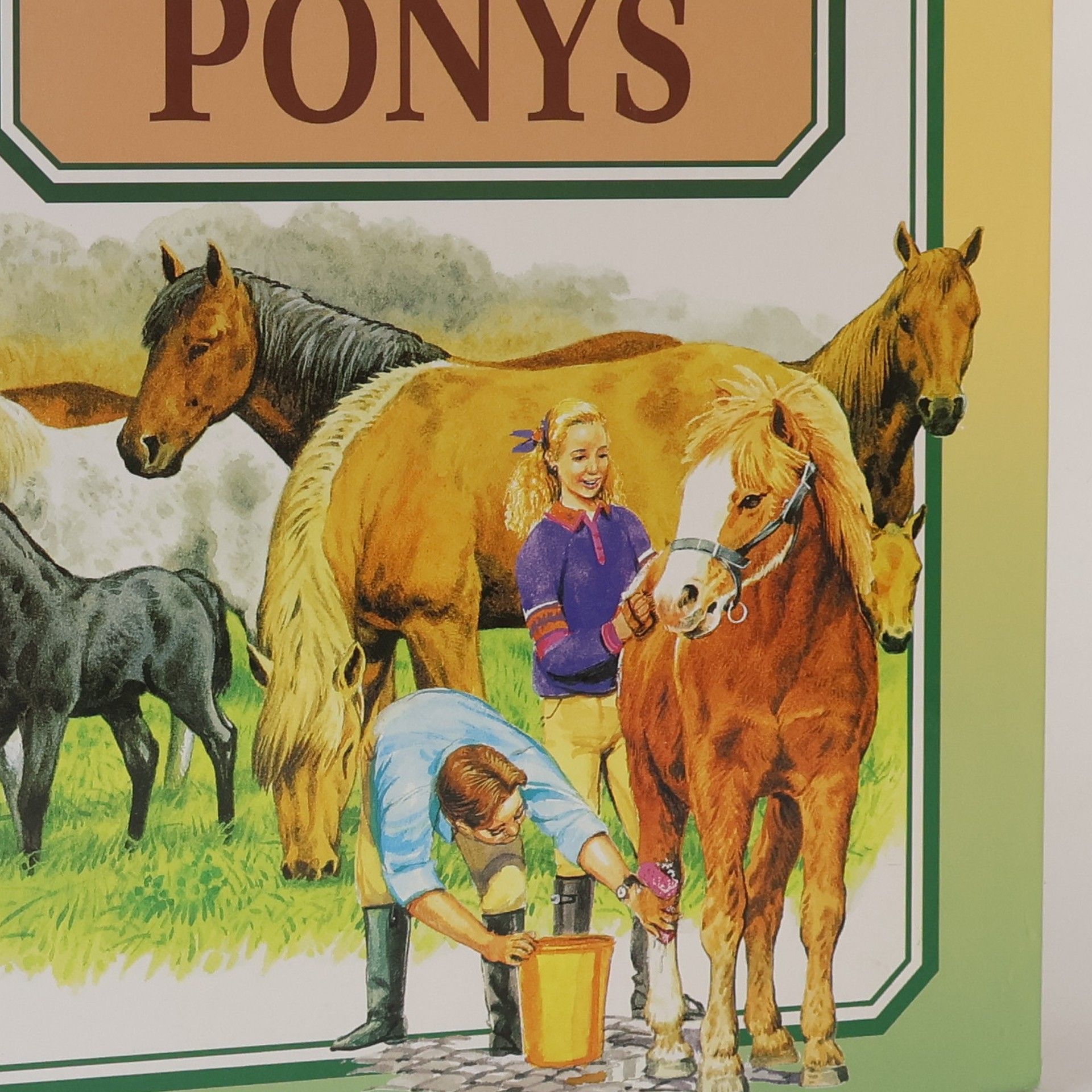 Maureen Spurgeon Die Welt der Pferde und Ponys