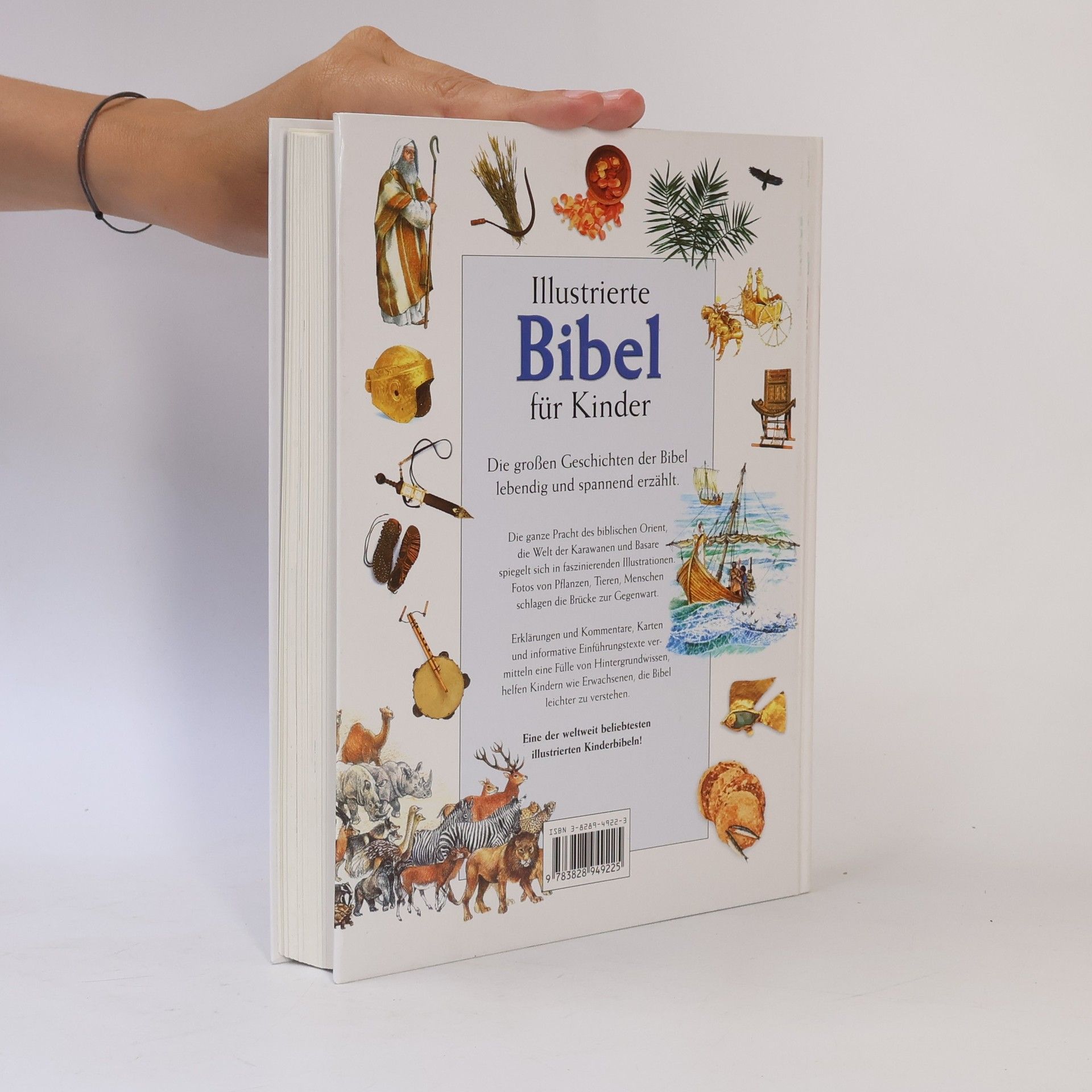 Selina Hastings Illustrierte Bibel für Kinder