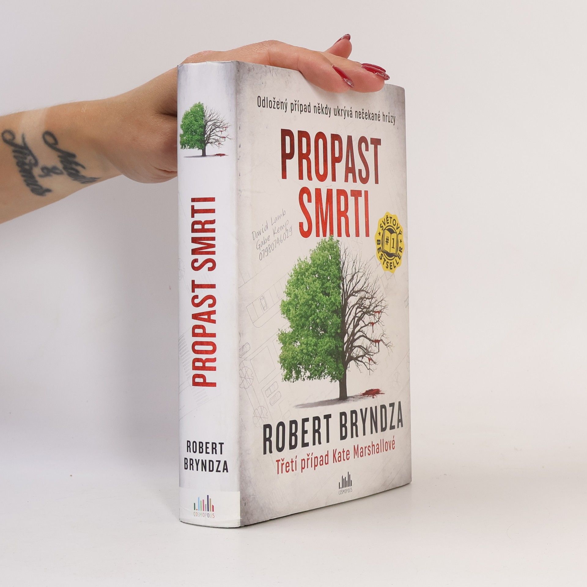 Robert Bryndza Propast smrti
