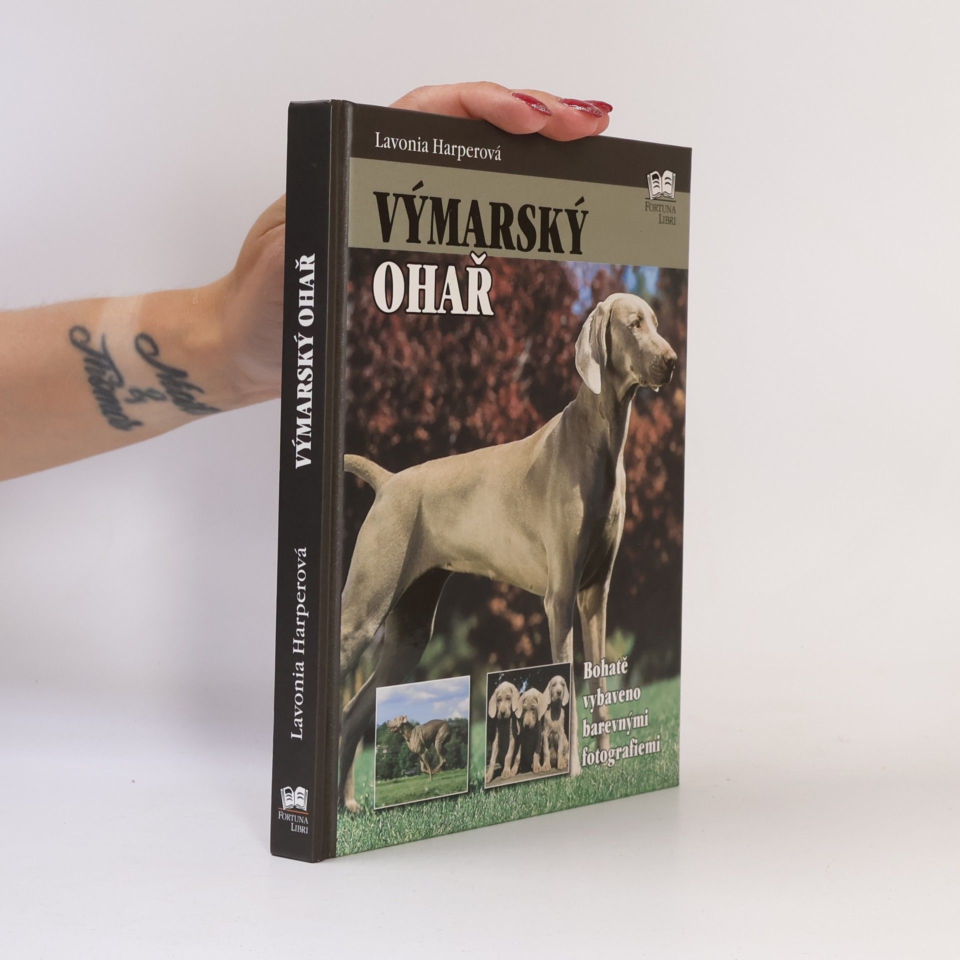 Lavonia Harper Výmarský ohař