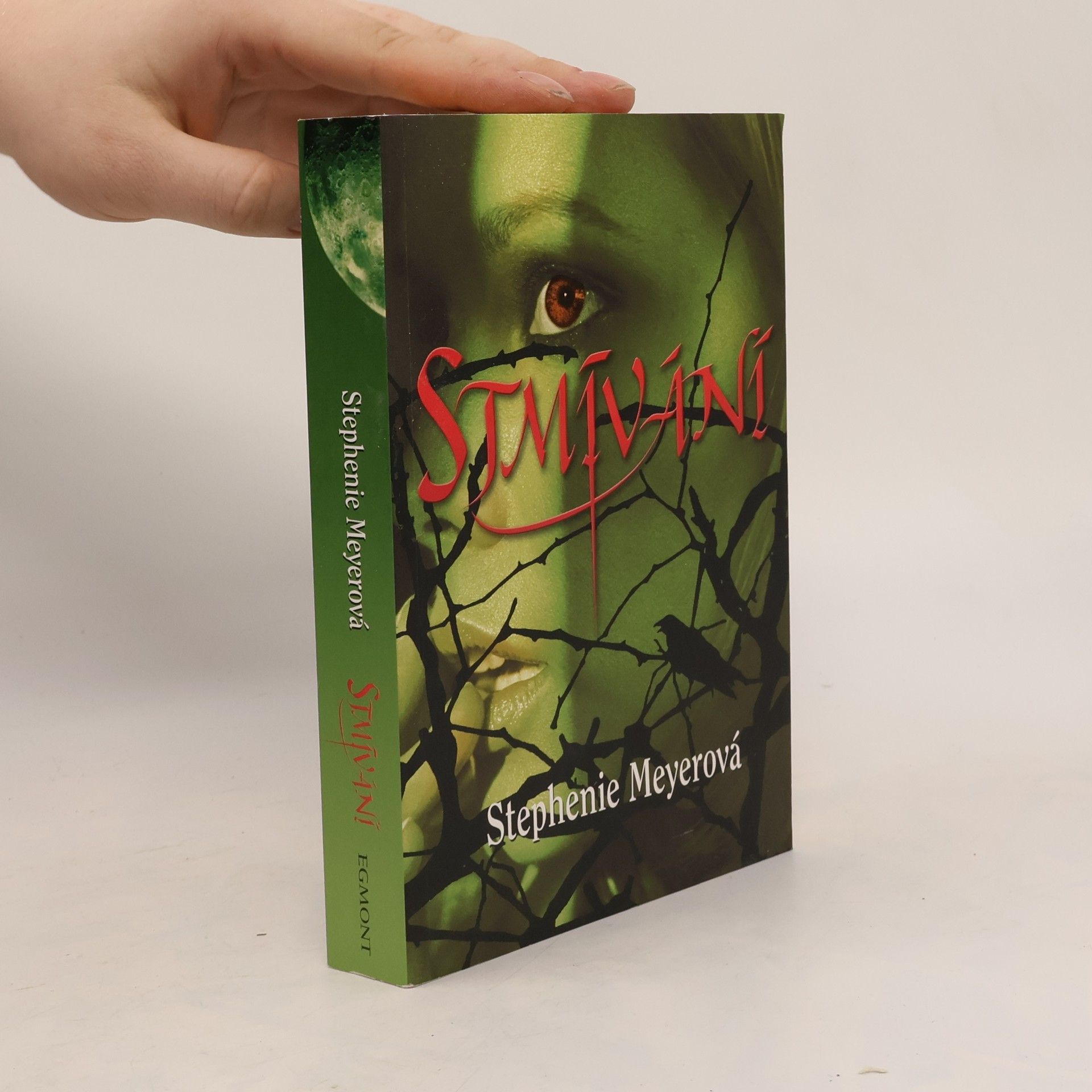 Stmívání