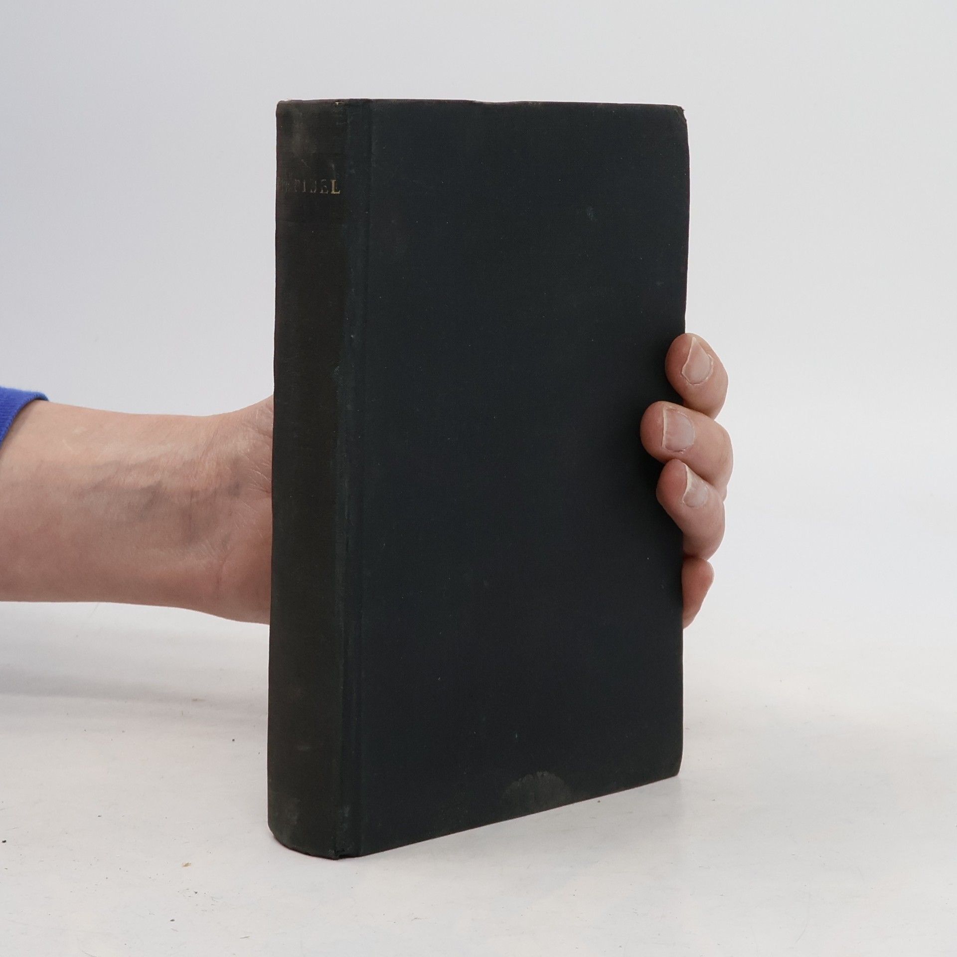 Kolektiv autorů Das alte Testament