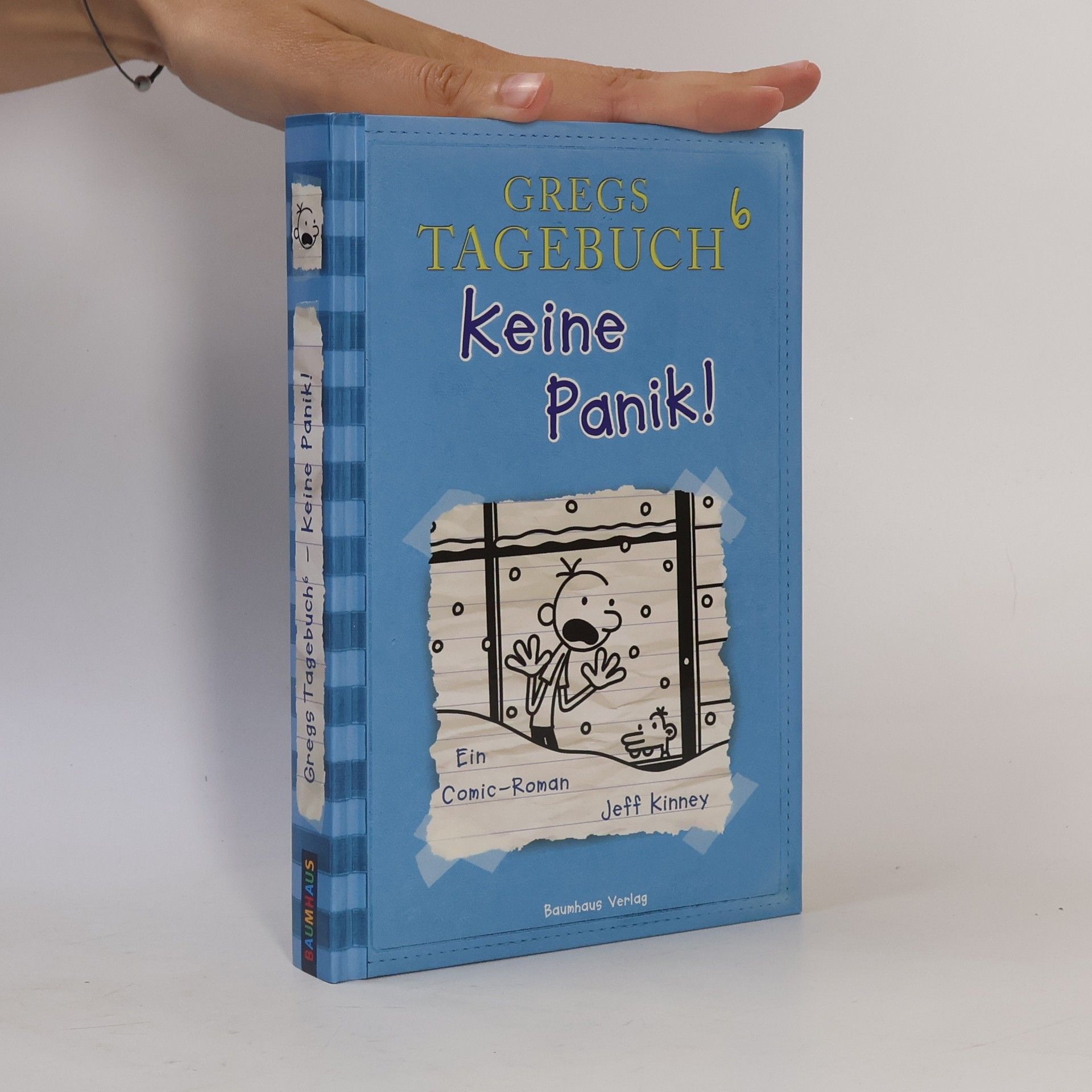 Gregs Tagebuch 6. Keine Panik!