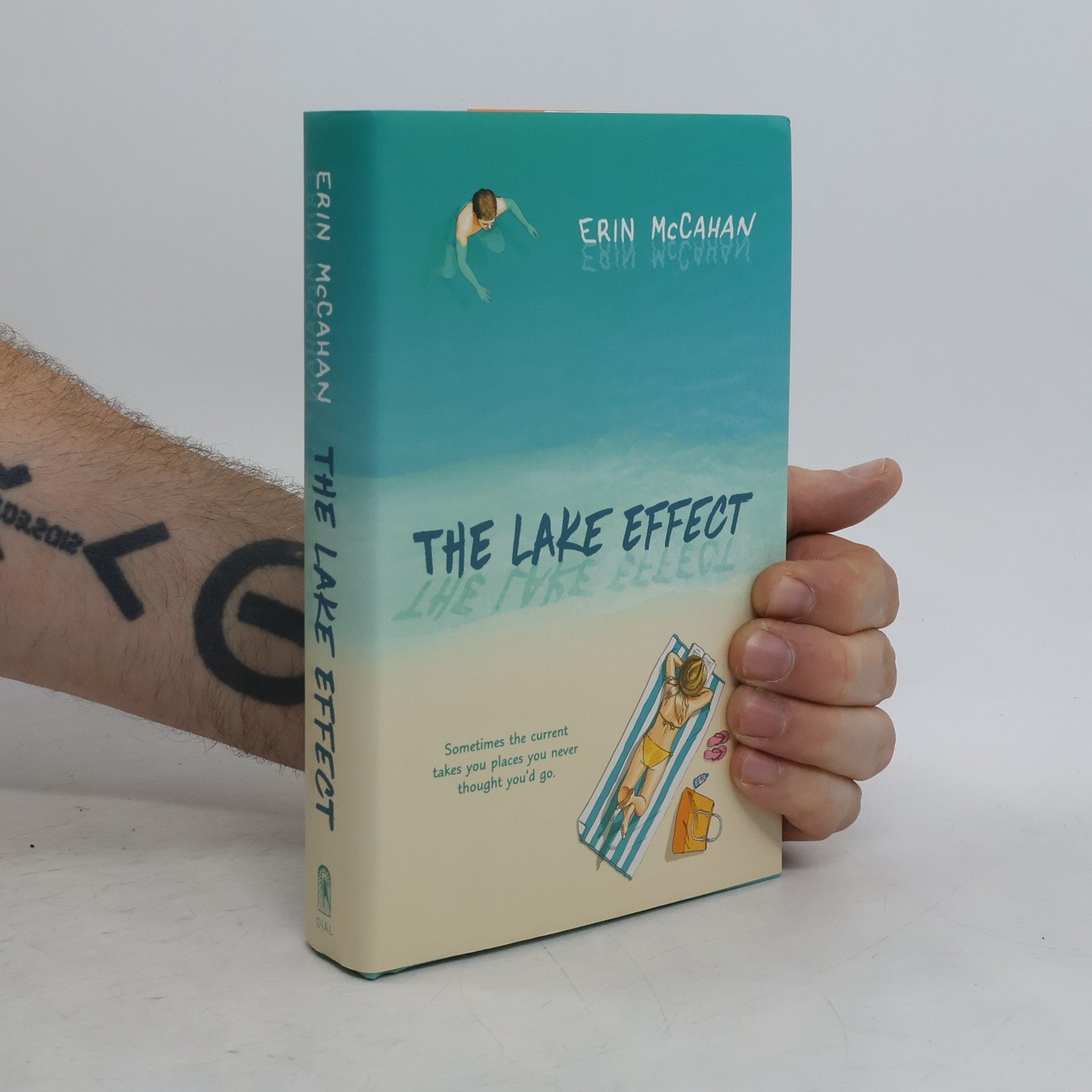 Erin McCahan The Lake Effect