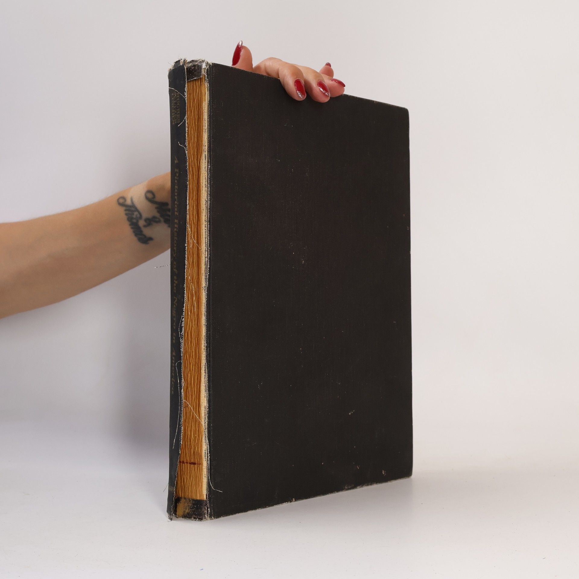A Pictorial History of the Negro in America