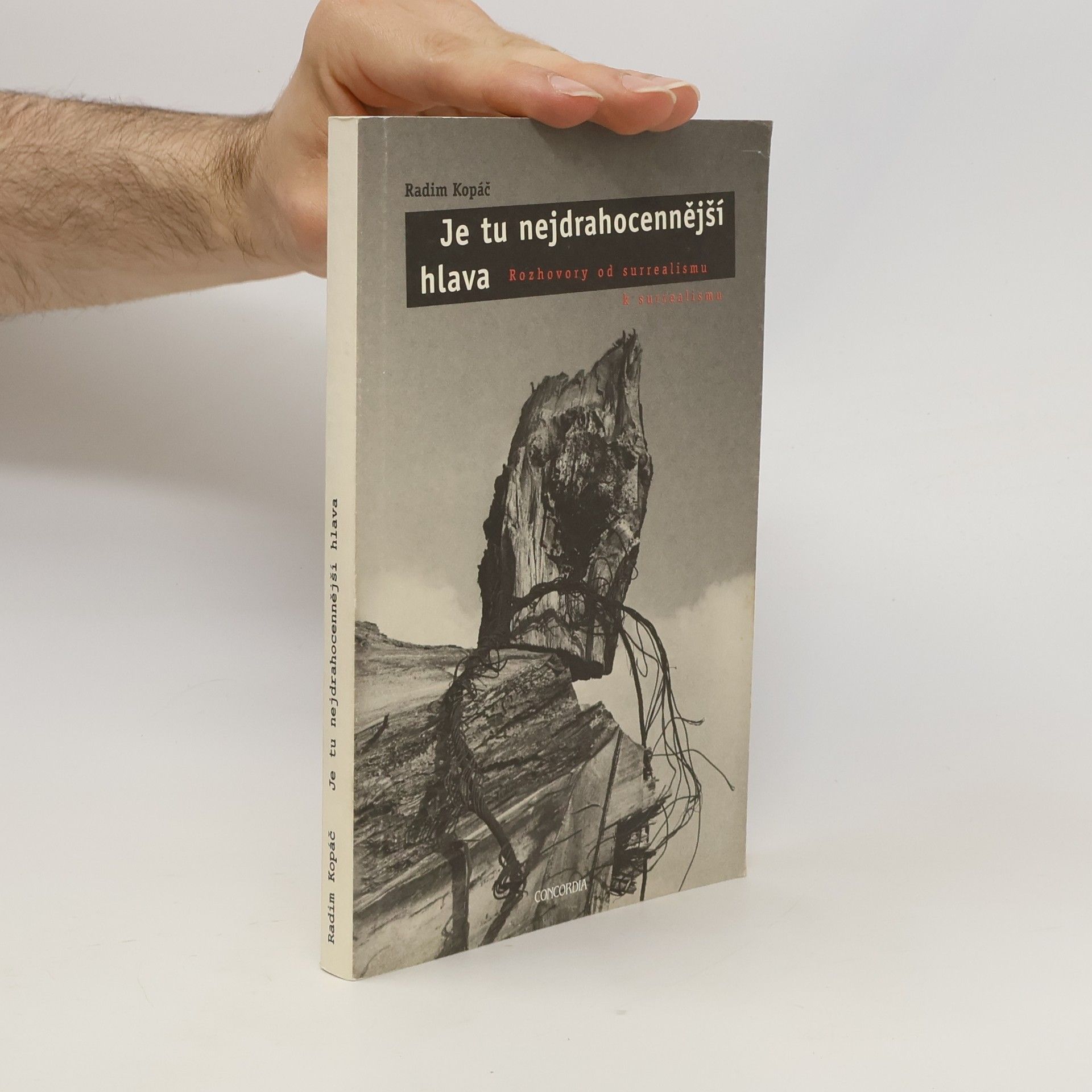 Radim Kopáč Je tu nejdrahocennější hlava. Rozhovory od surrealismu k surrealismu