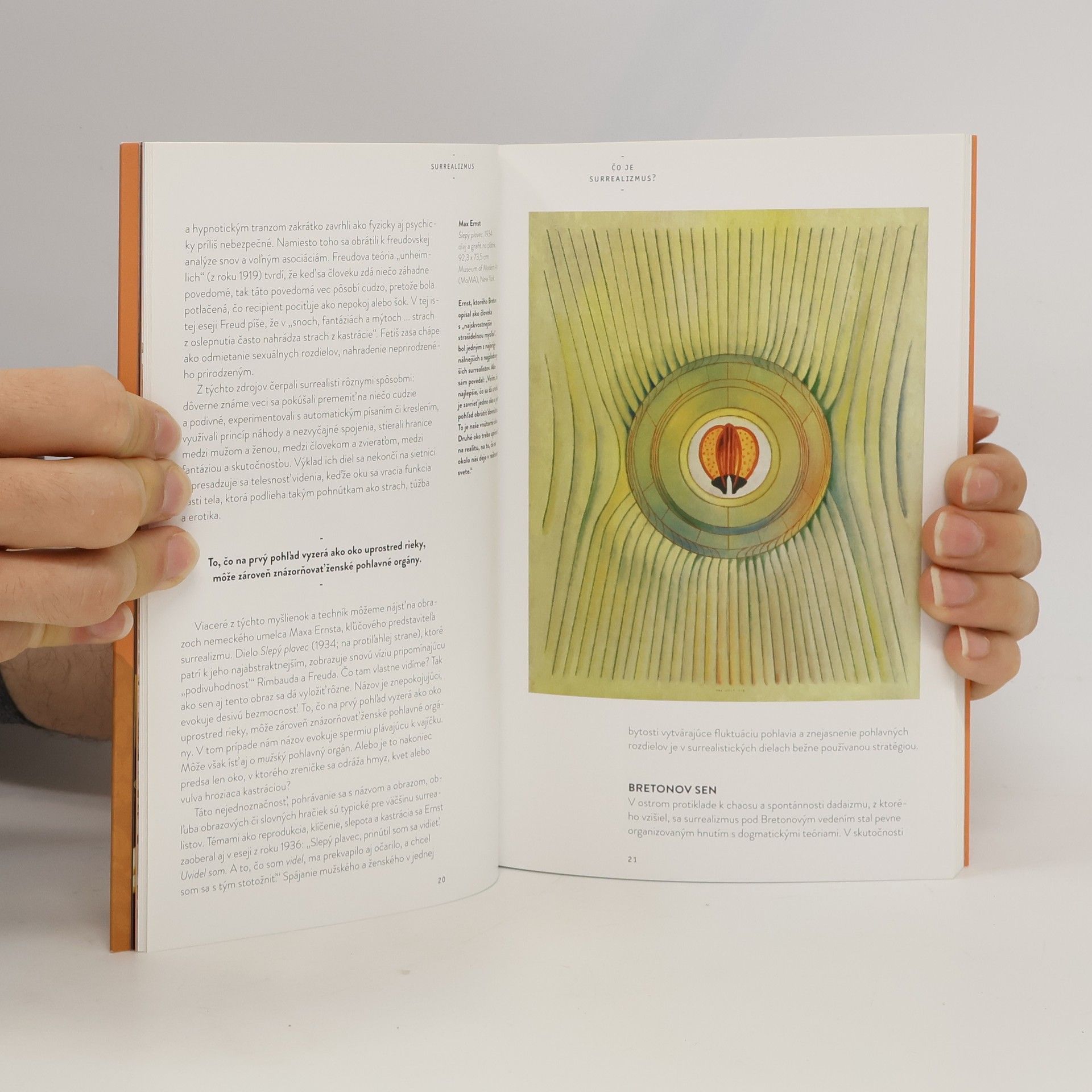 Amy Dempsey Surrealizmus
