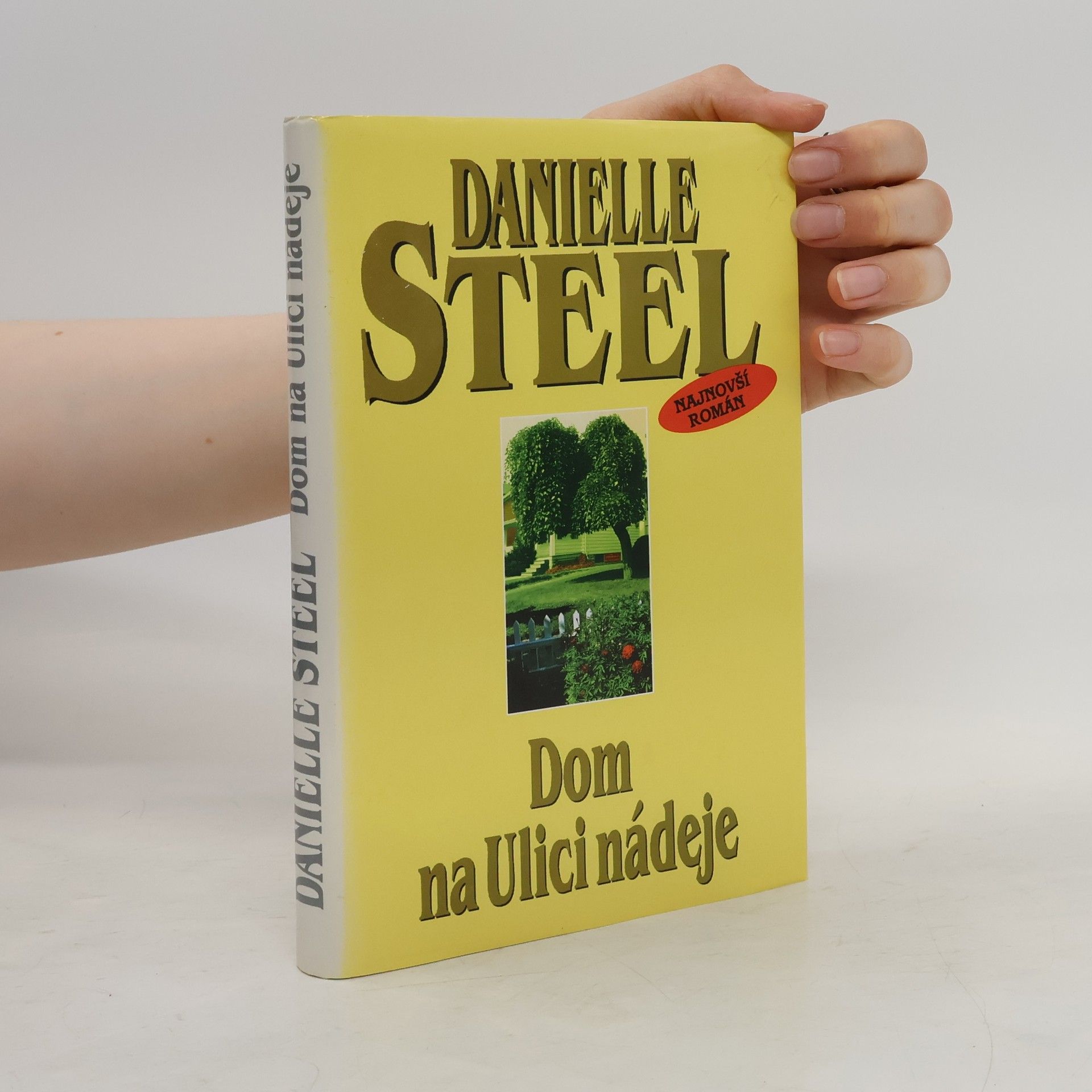 Danielle Steel Dom na Ulici nádeje