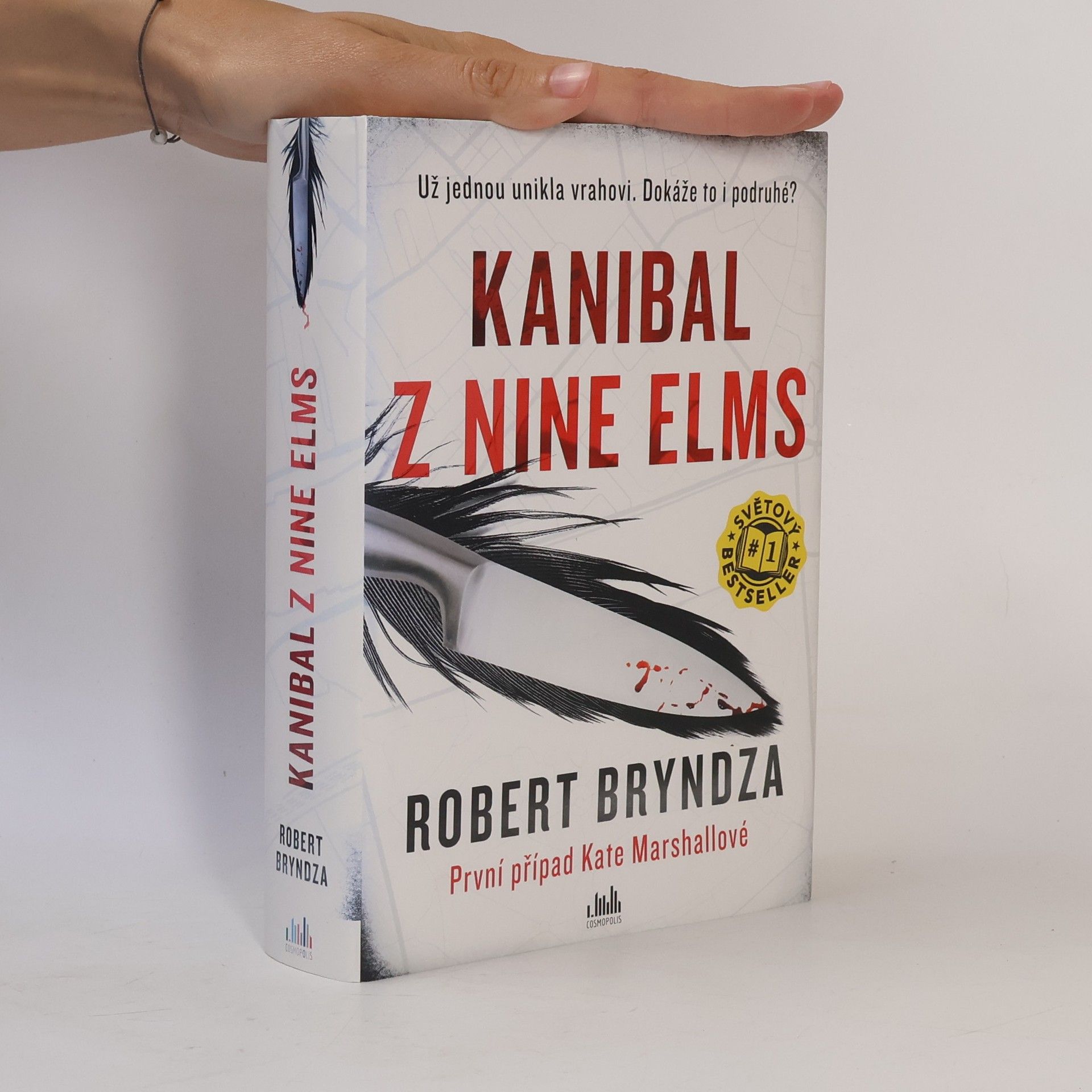 Robert Bryndza Kanibal z Nine Elms