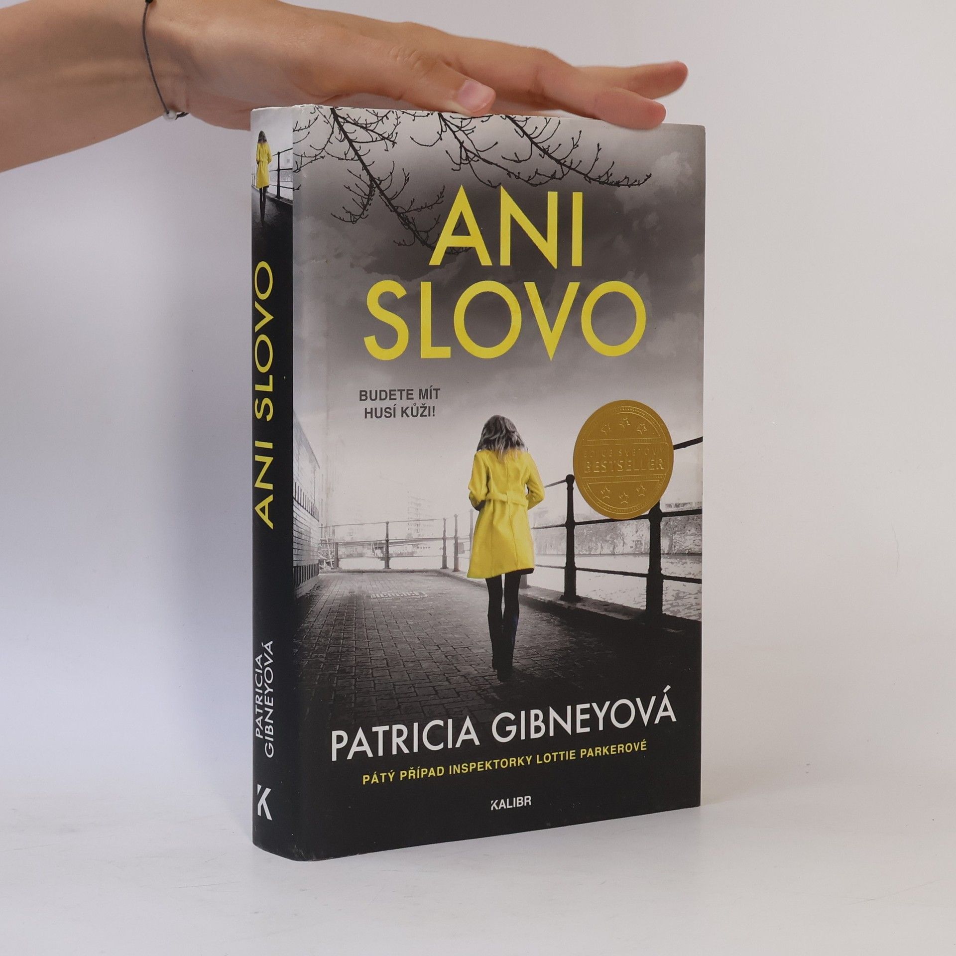 Patricia Gibney Ani slovo
