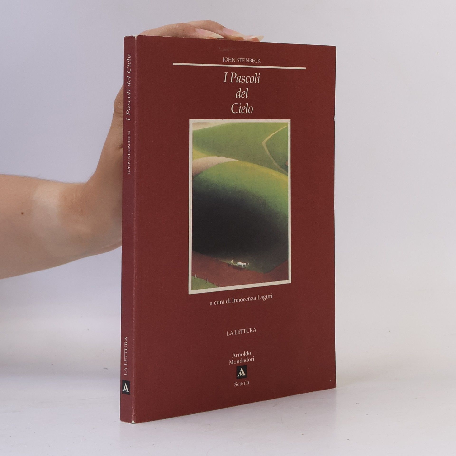 Innocenza Laguri La lettura: I pascoli del cielo