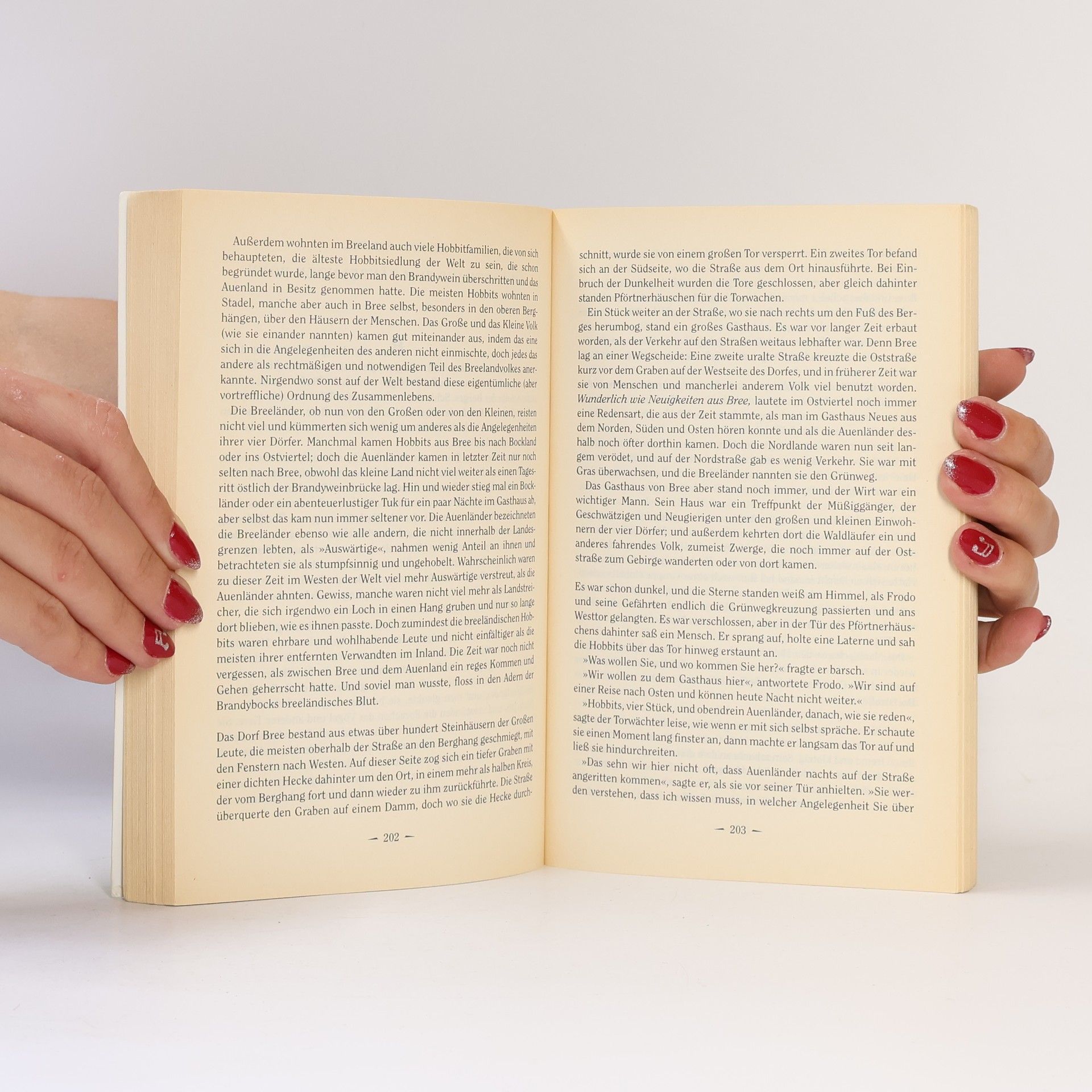 J. R. R. Tolkien Der Herr der Ringe 1. Die Gefährten