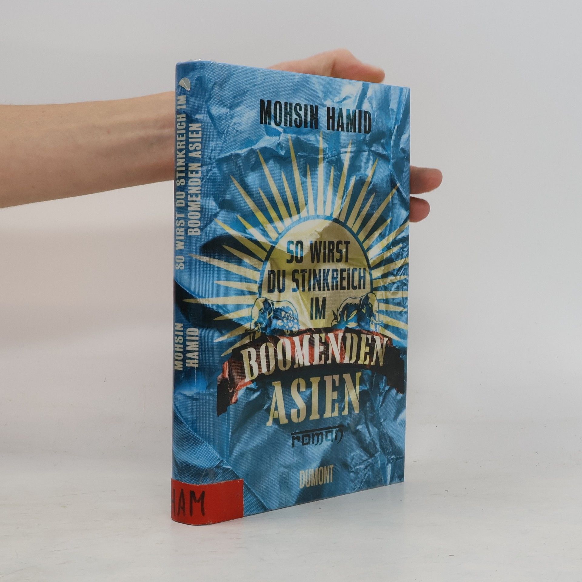 Mohsin Hamid So wirst du stinkreich im boomenden Asien