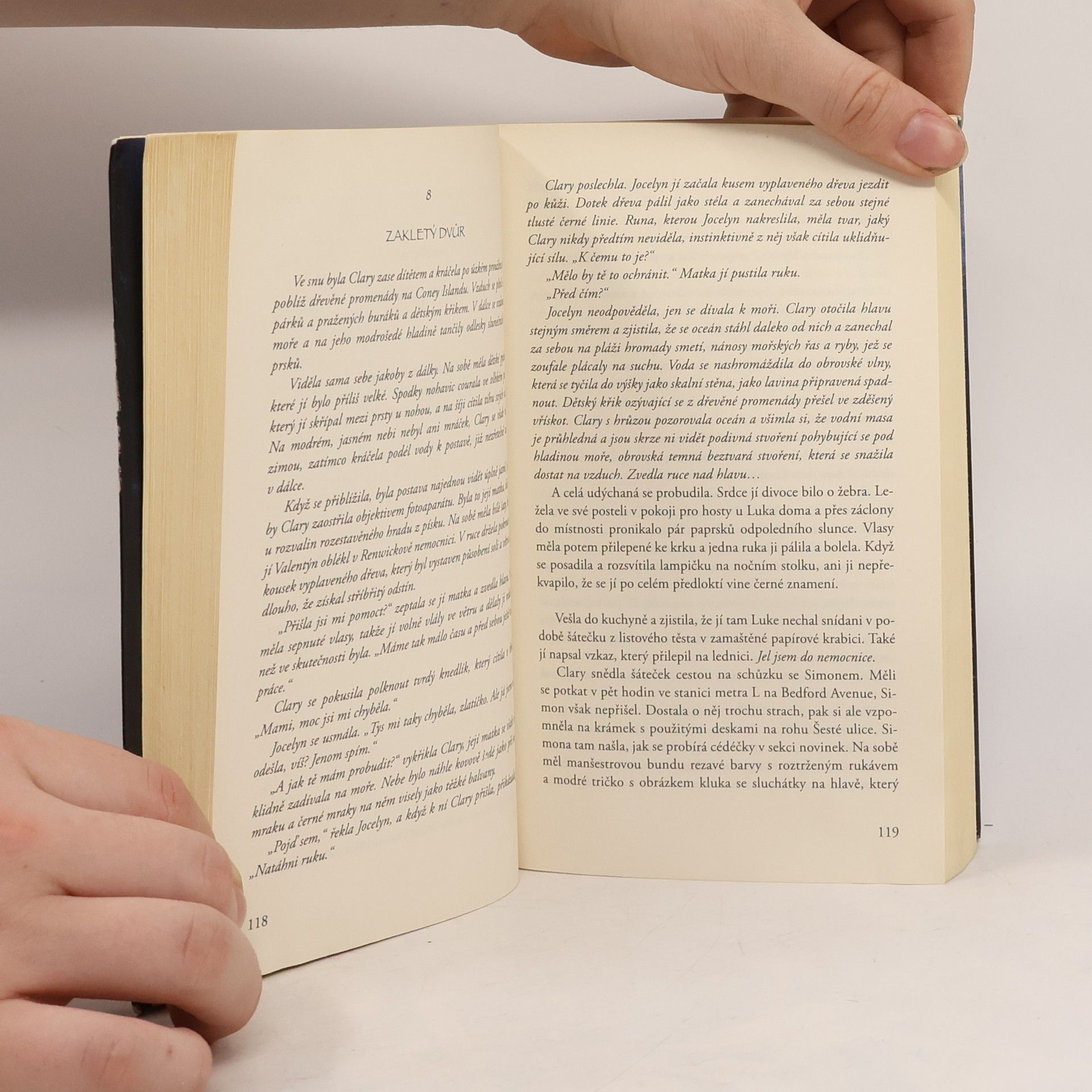 Cassandra Clare Nástroje smrti 2: Město z popela