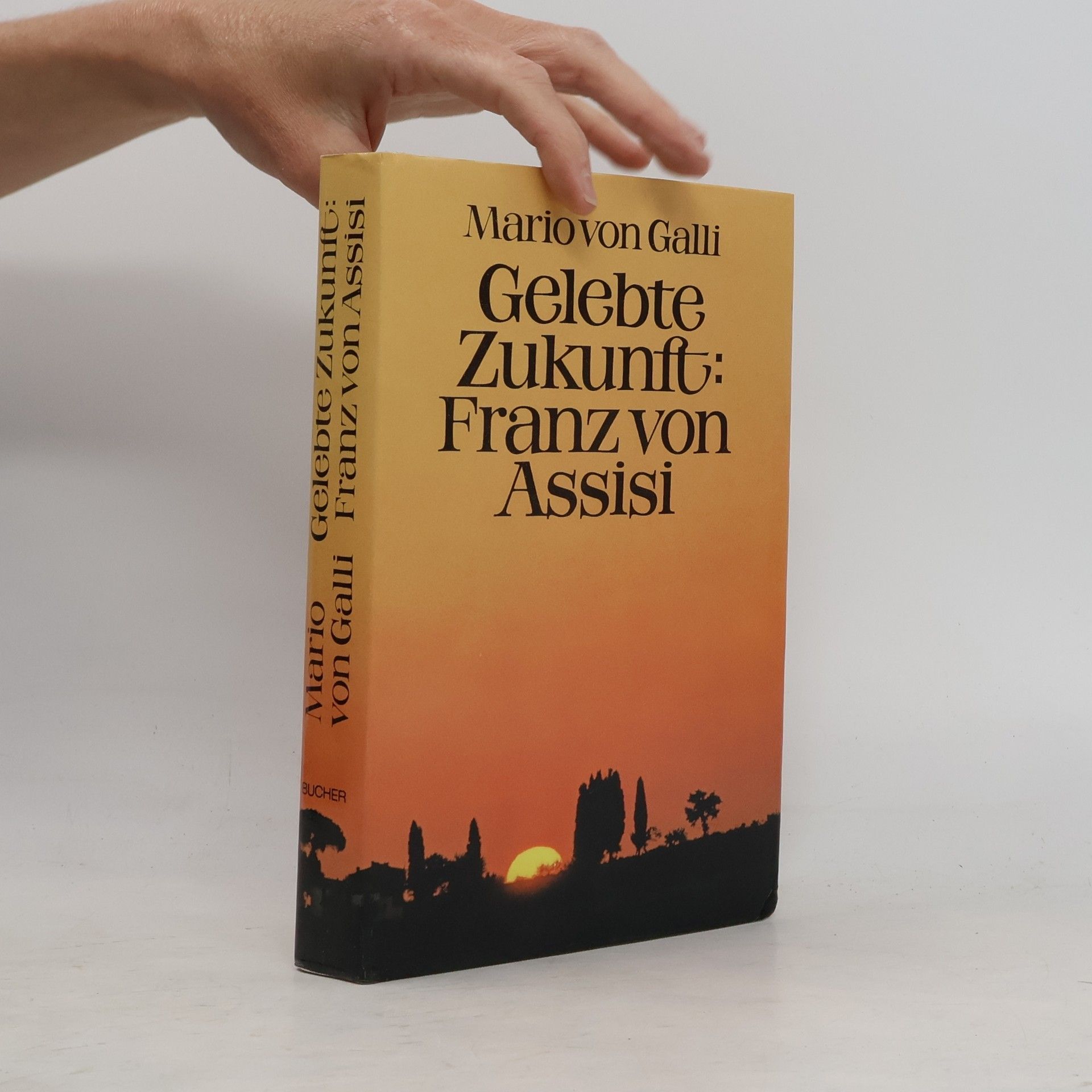 Gelebte Zukunft: Franz von Assisi
