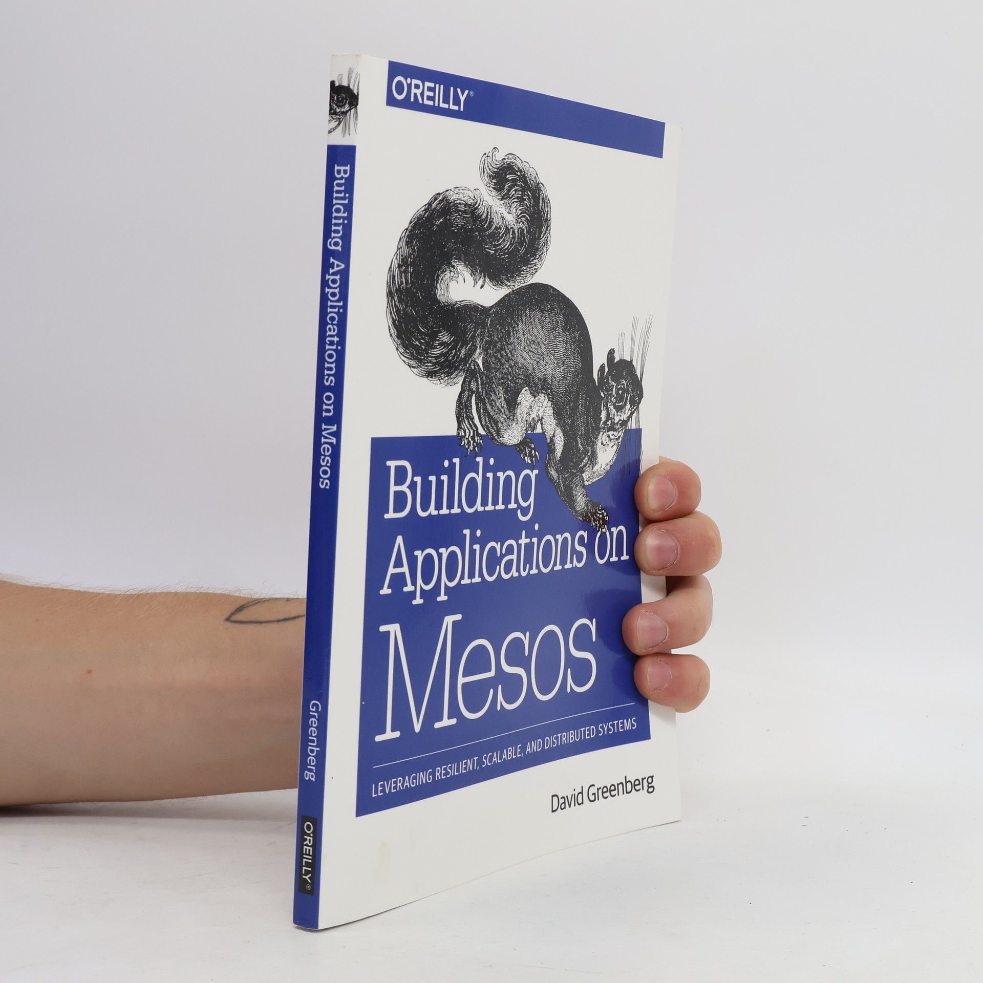 Building Applications on Mesos