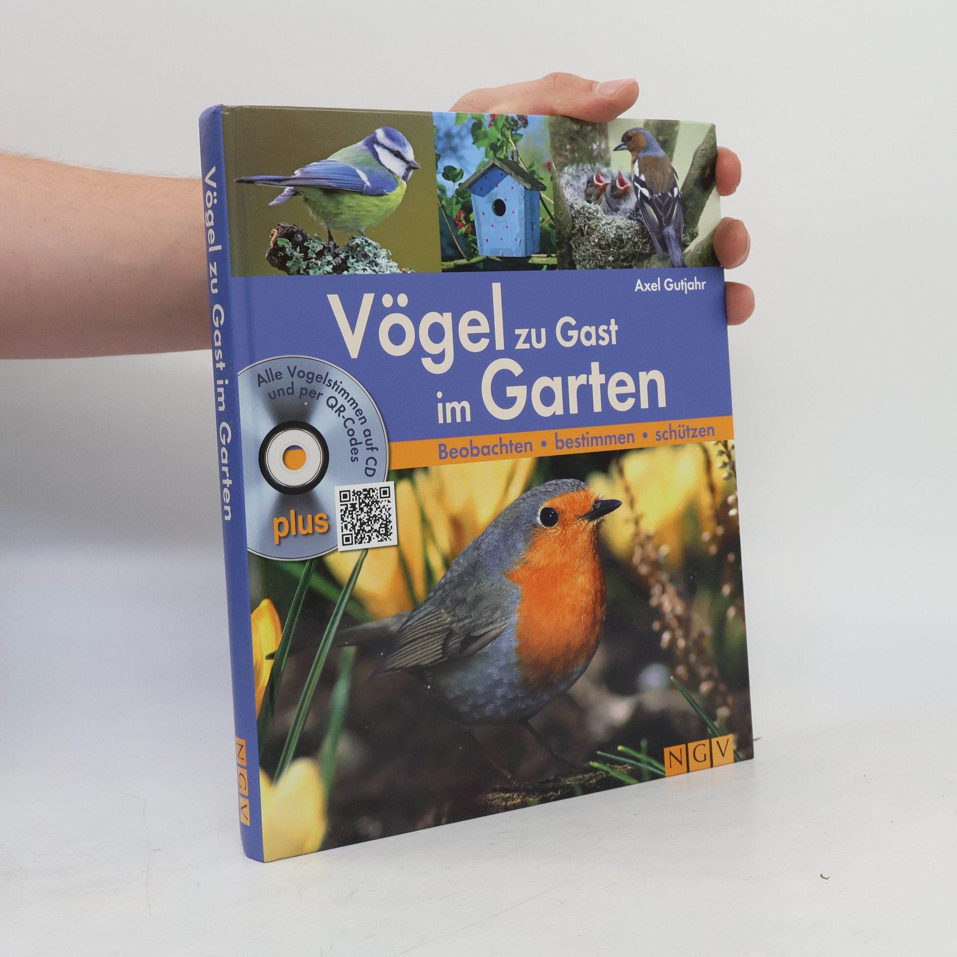 Kolektiv autorů Vögel zu Gast im Garten