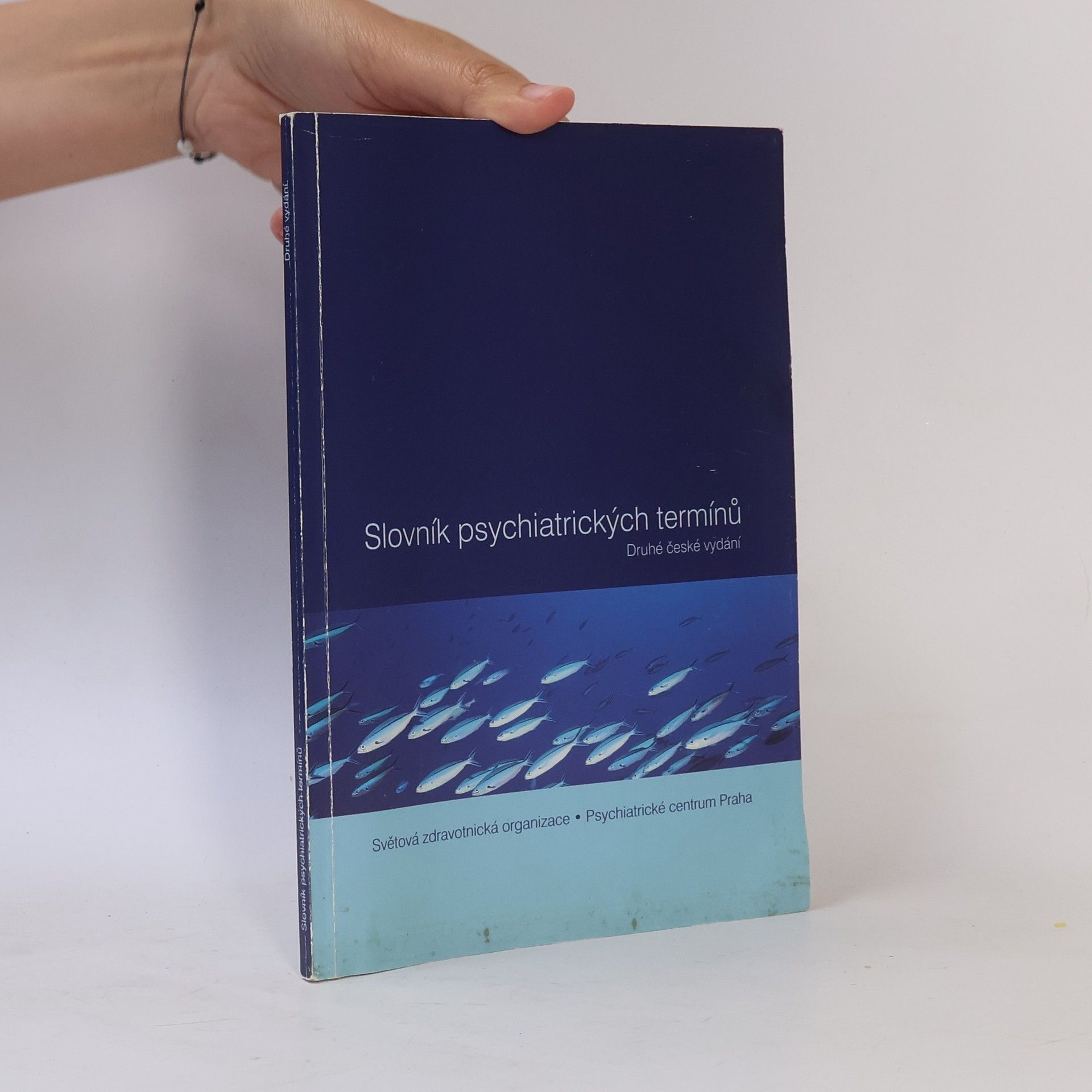 Autorenkollektiv Slovník psychiatrických termínů