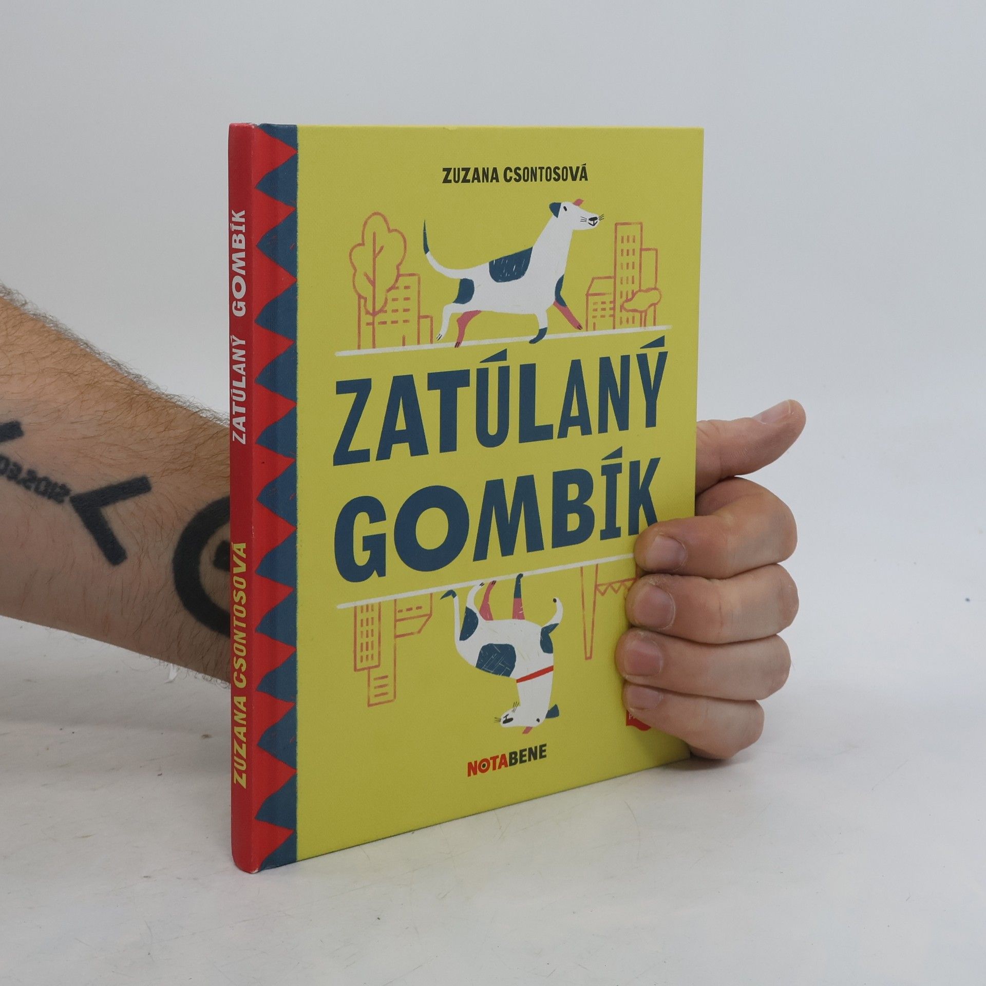 Zuzana Csontosová Zatúlaný Gombík