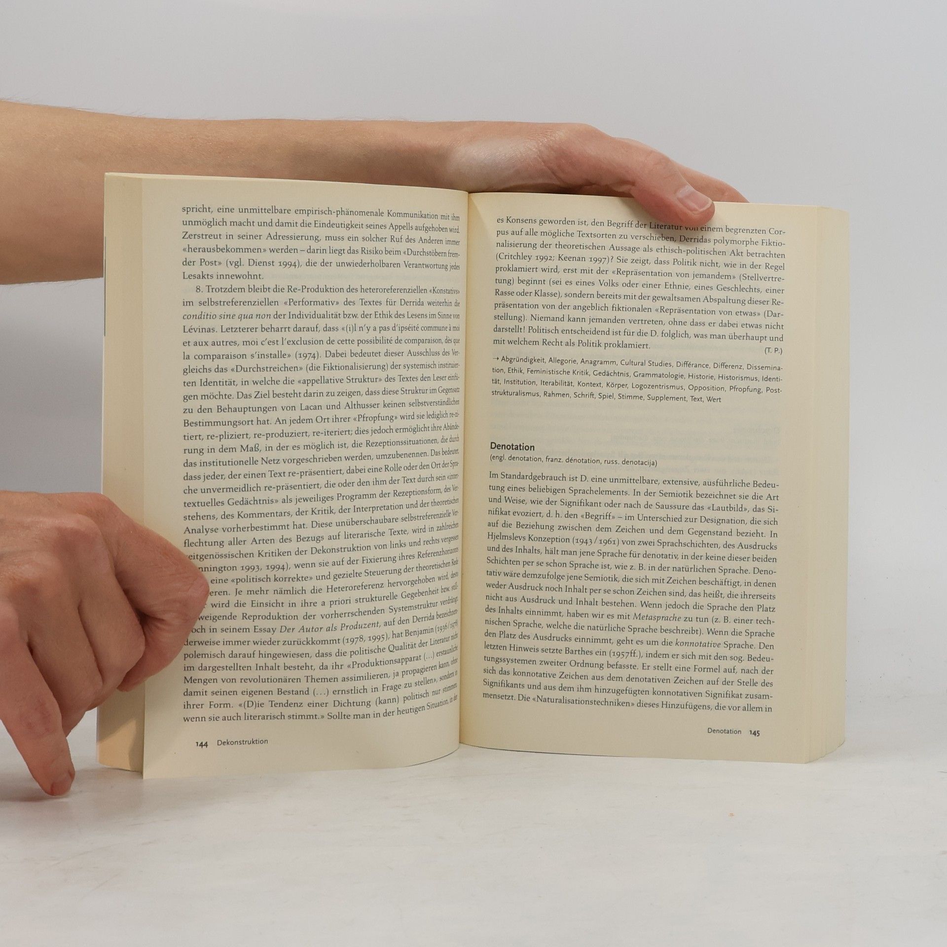 Vladimir Biti Literatur- und Kulturtheorie
