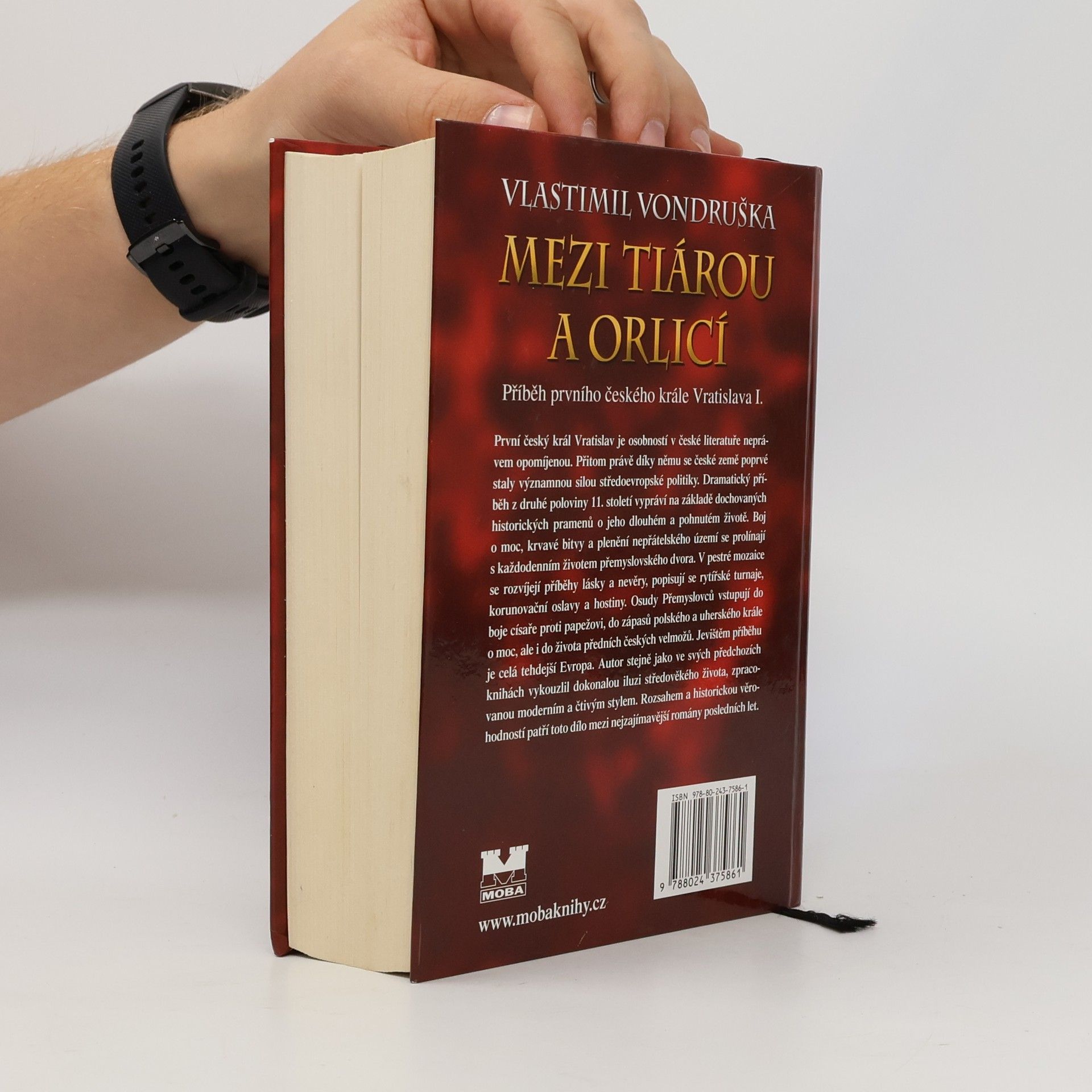 Vlastimil Vondruška Mezi tiárou a orlicí : příběh prvního českého krále Vratislava I.