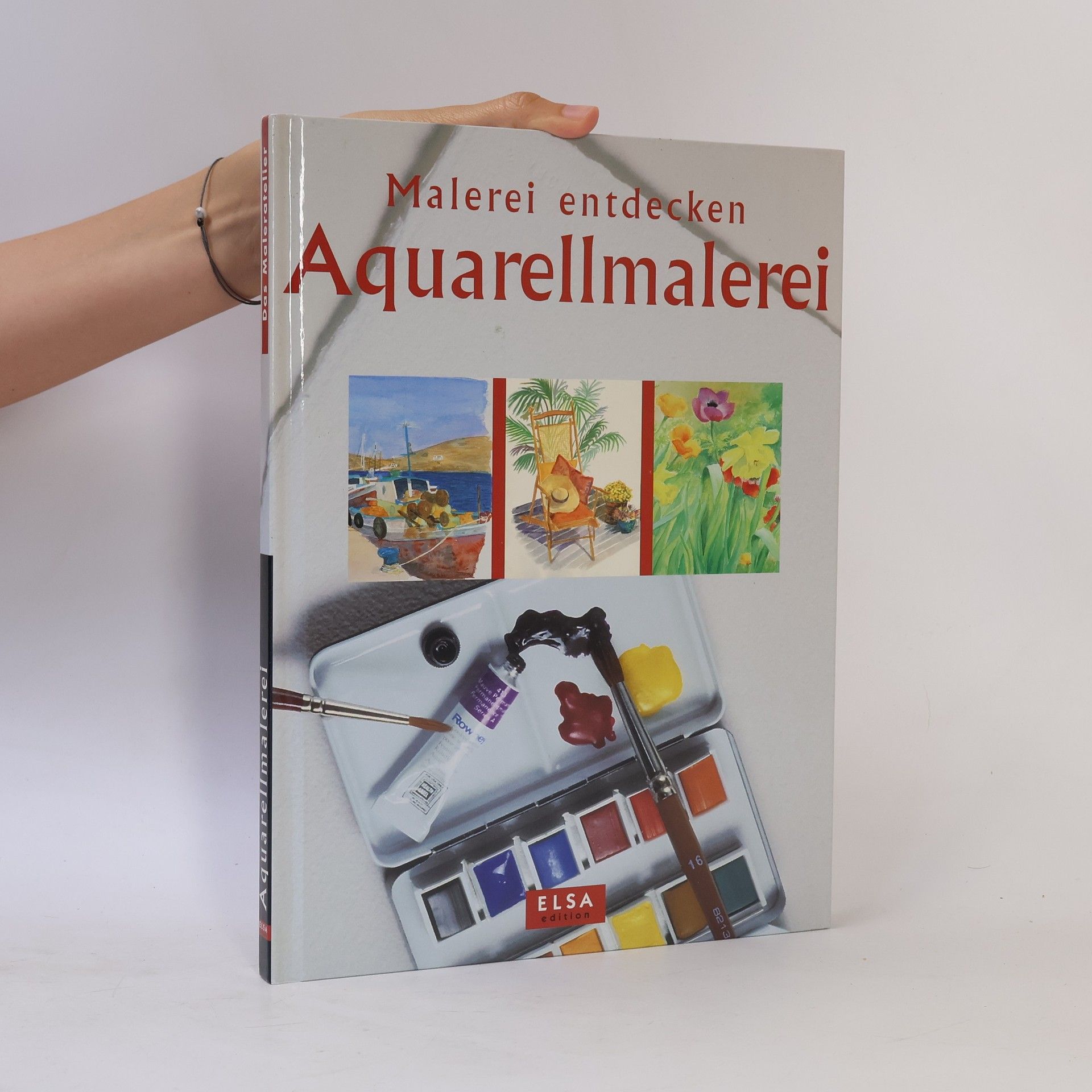 Autorenkollektiv Aquarellmalerei. Das Maleratelier