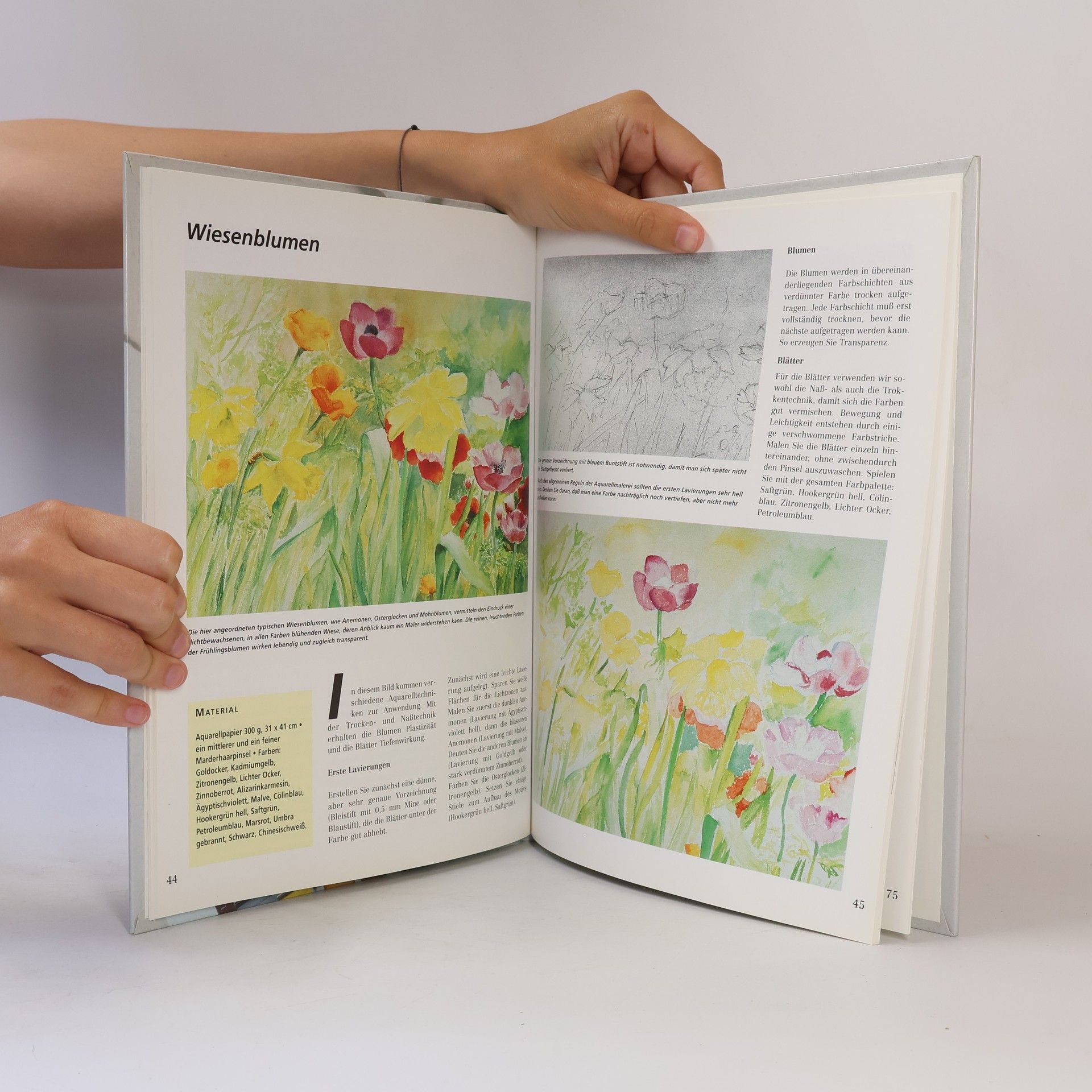 Autorenkollektiv Aquarellmalerei. Das Maleratelier