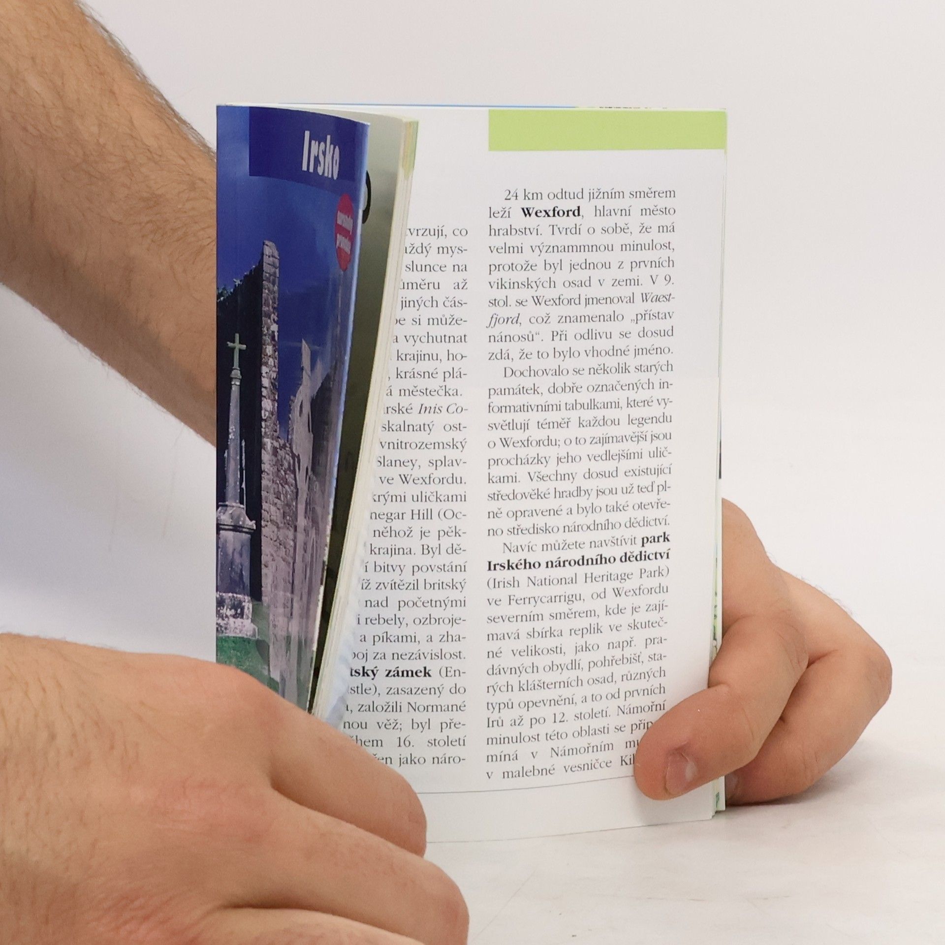 Ken Bernstein Irsko
