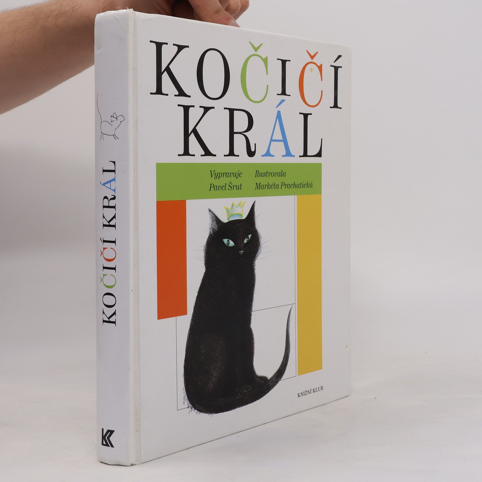 Pavel Šrut Kočičí král