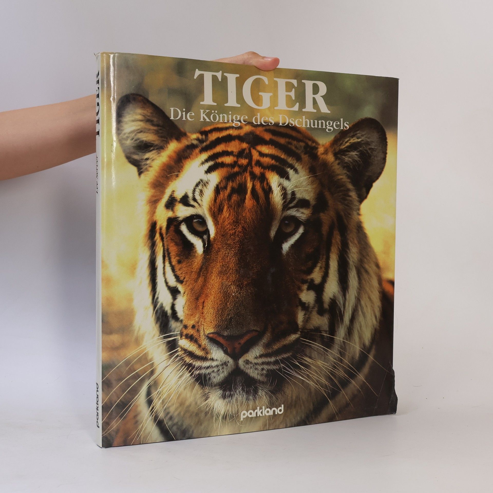 Lee Server Tiger