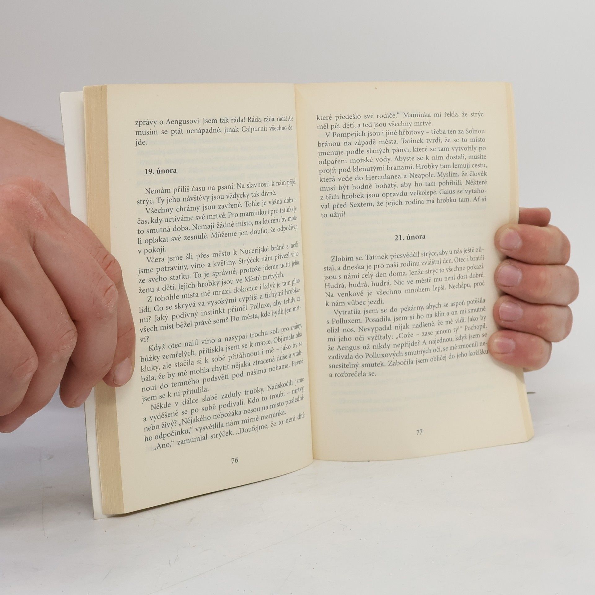 Sue Reid Pompeje : [deník dívky z let 78-79 n. l.]