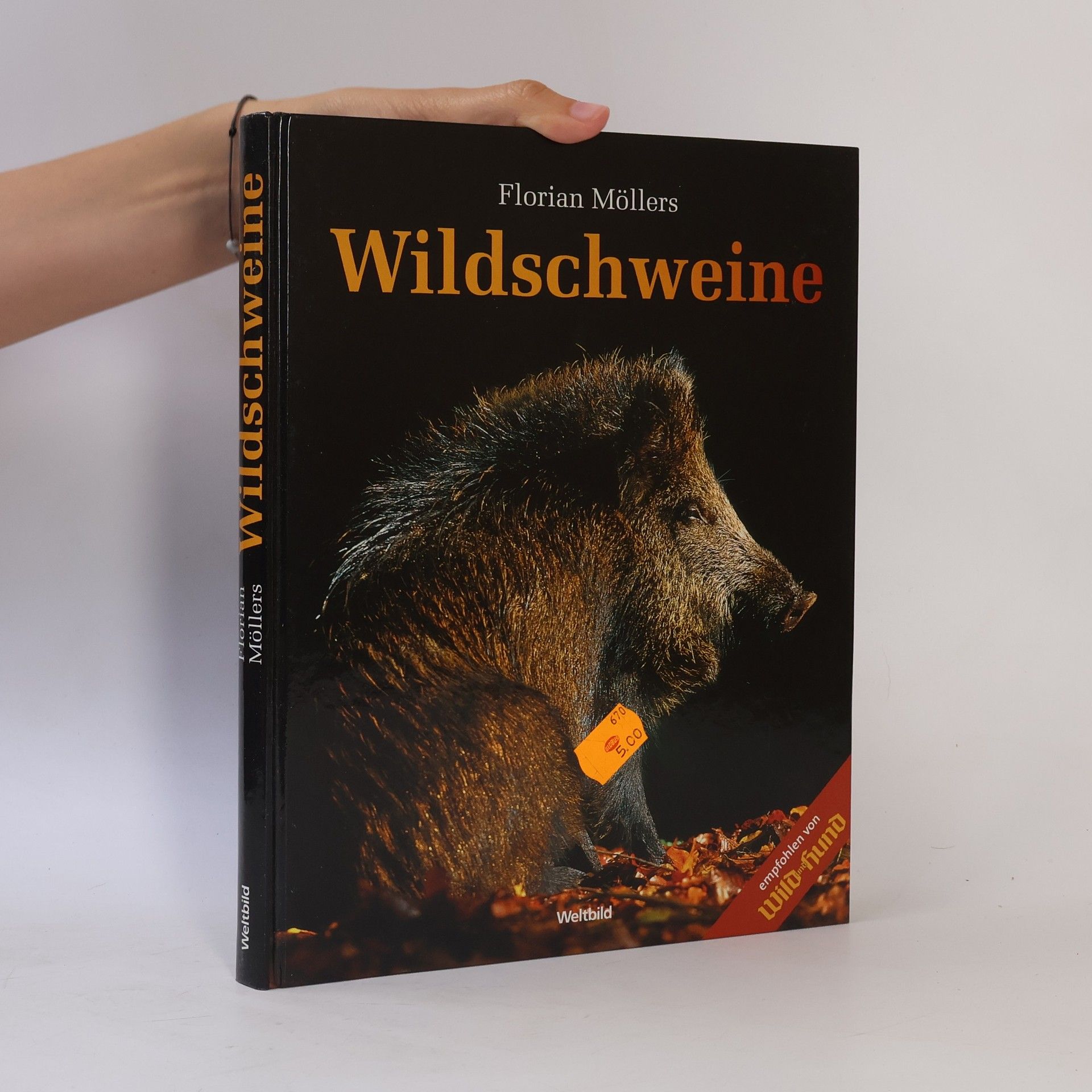 Florian Möllers Wildschweine