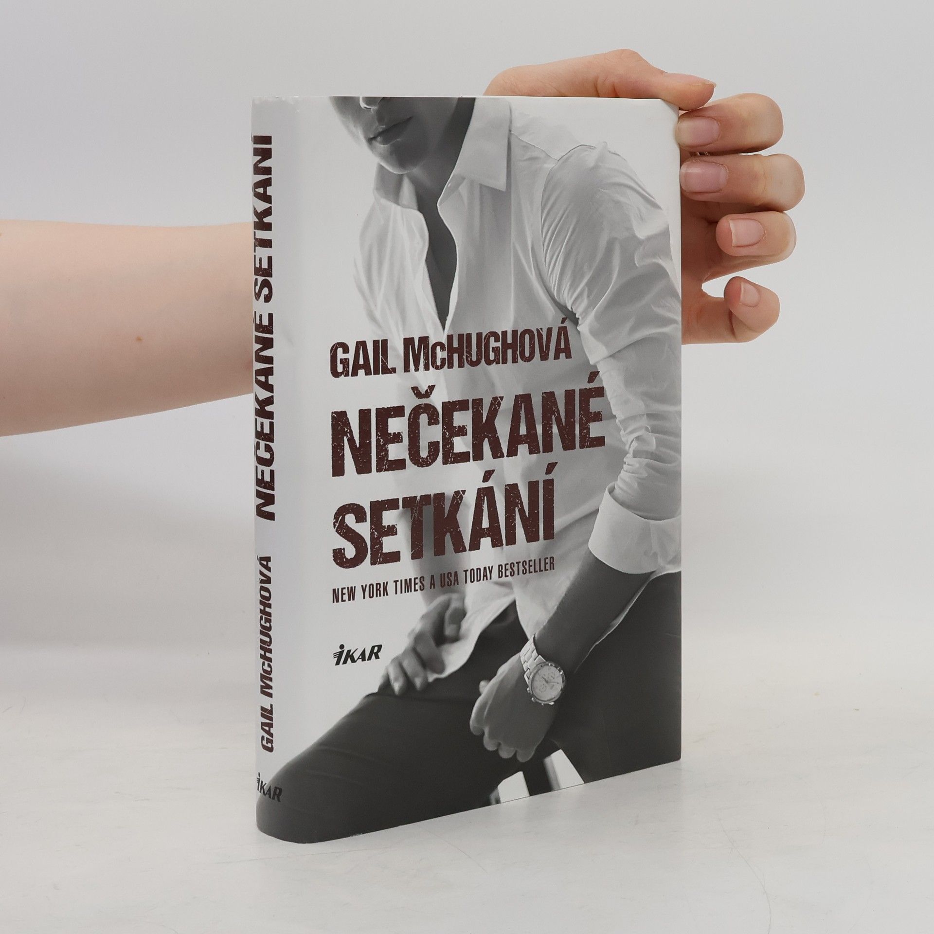 Gail McHugh Nečekané setkání