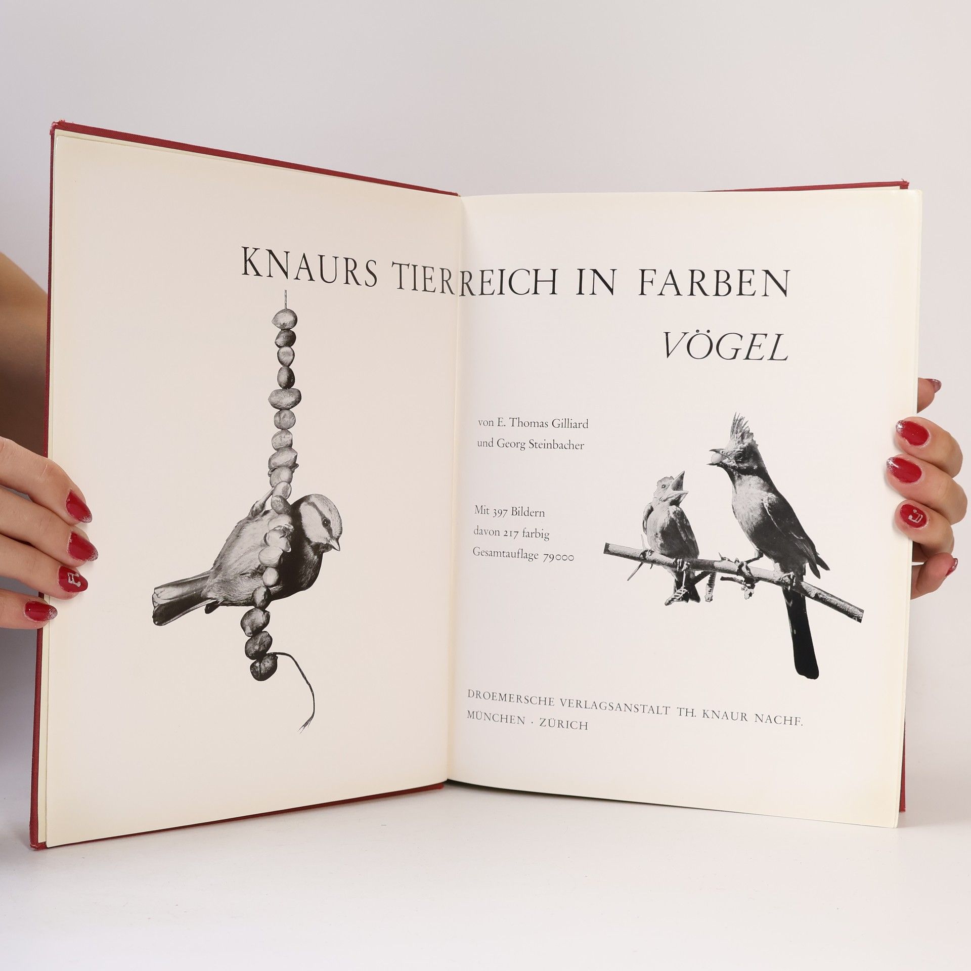 Various authors Knaurs Tierreich in Farben. Vögel