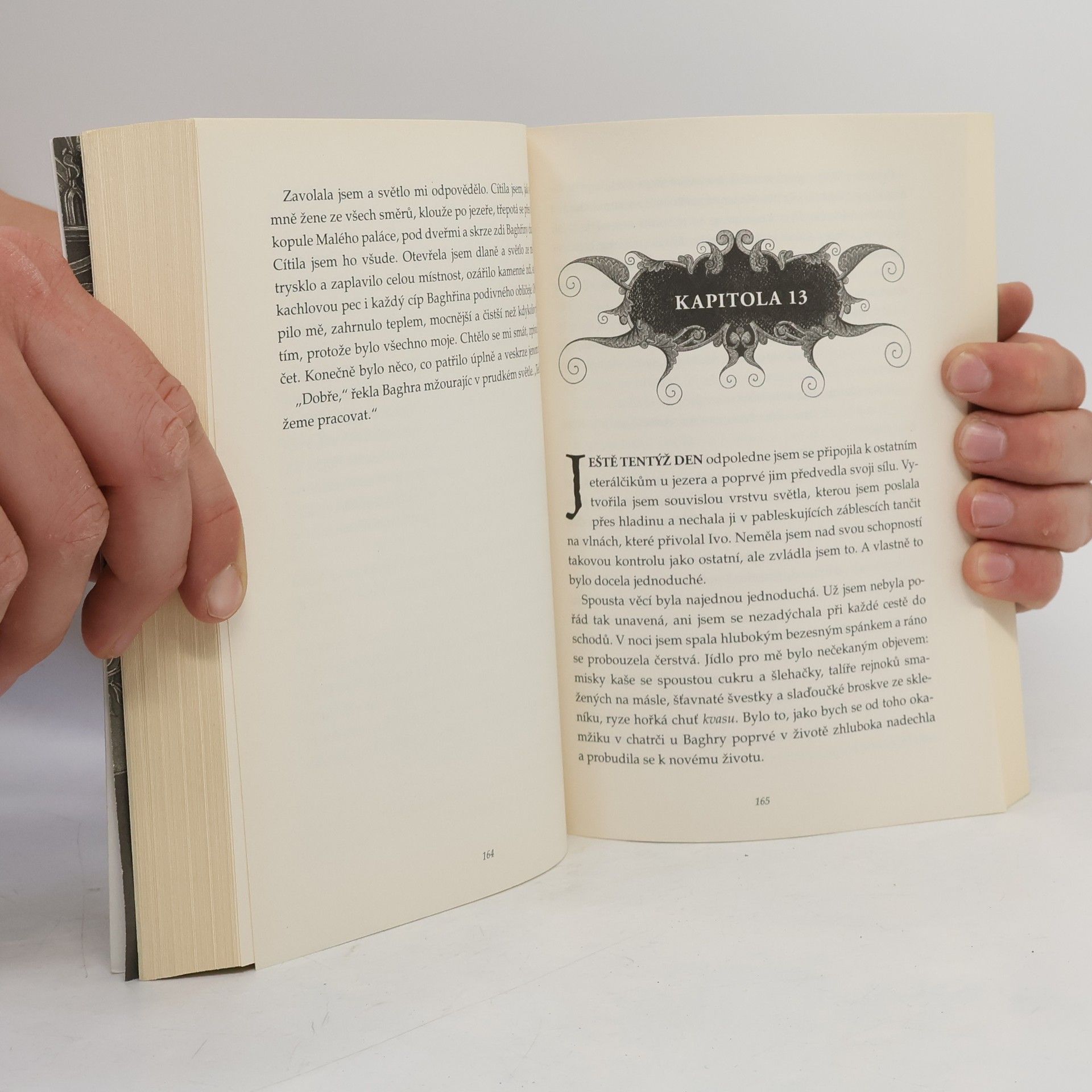 Leigh Bardugo Světlo a stíny