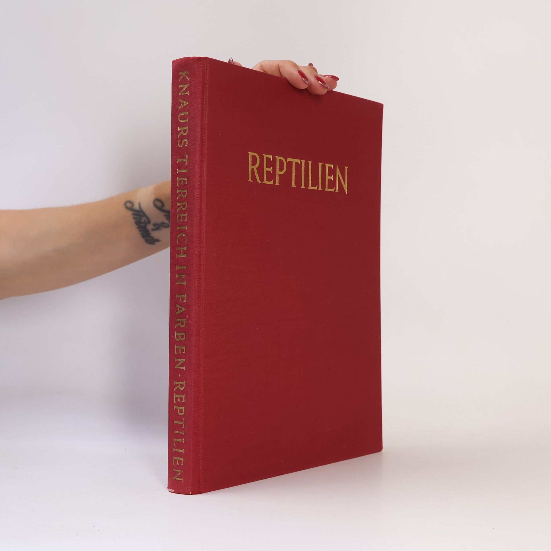 Kolektiv autorů Reptilien