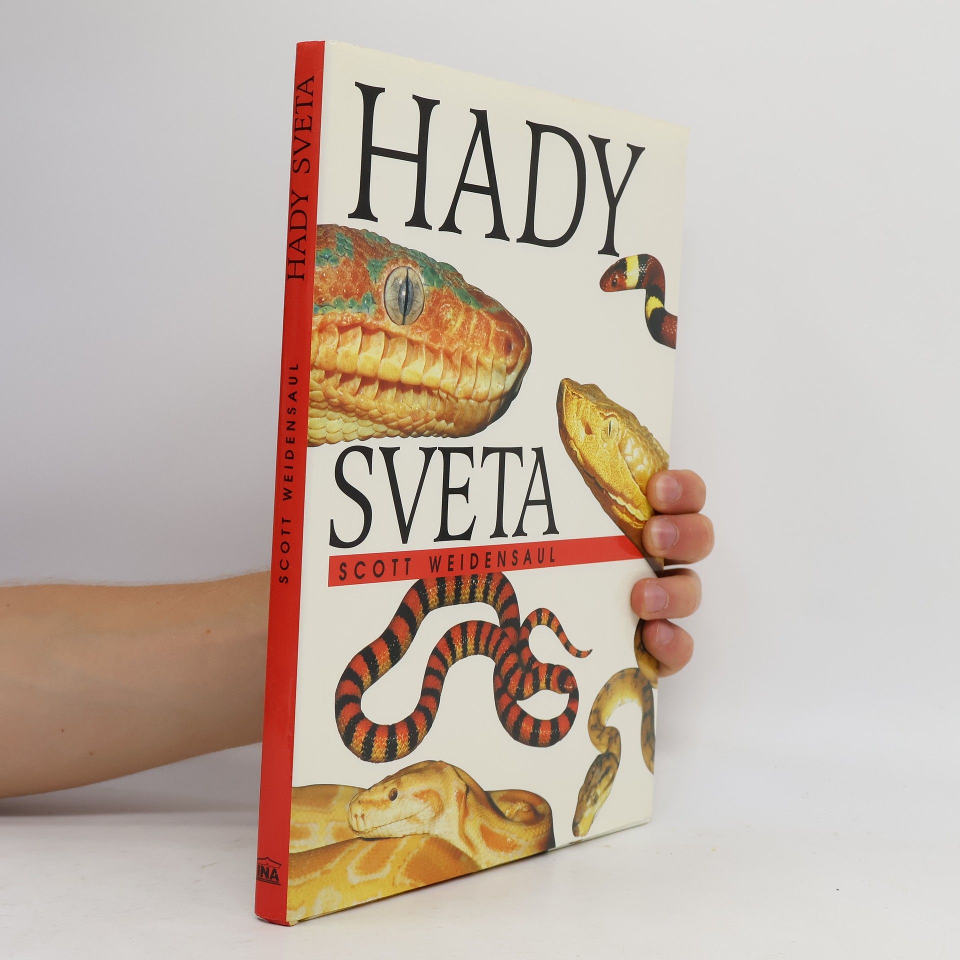 Hady sveta