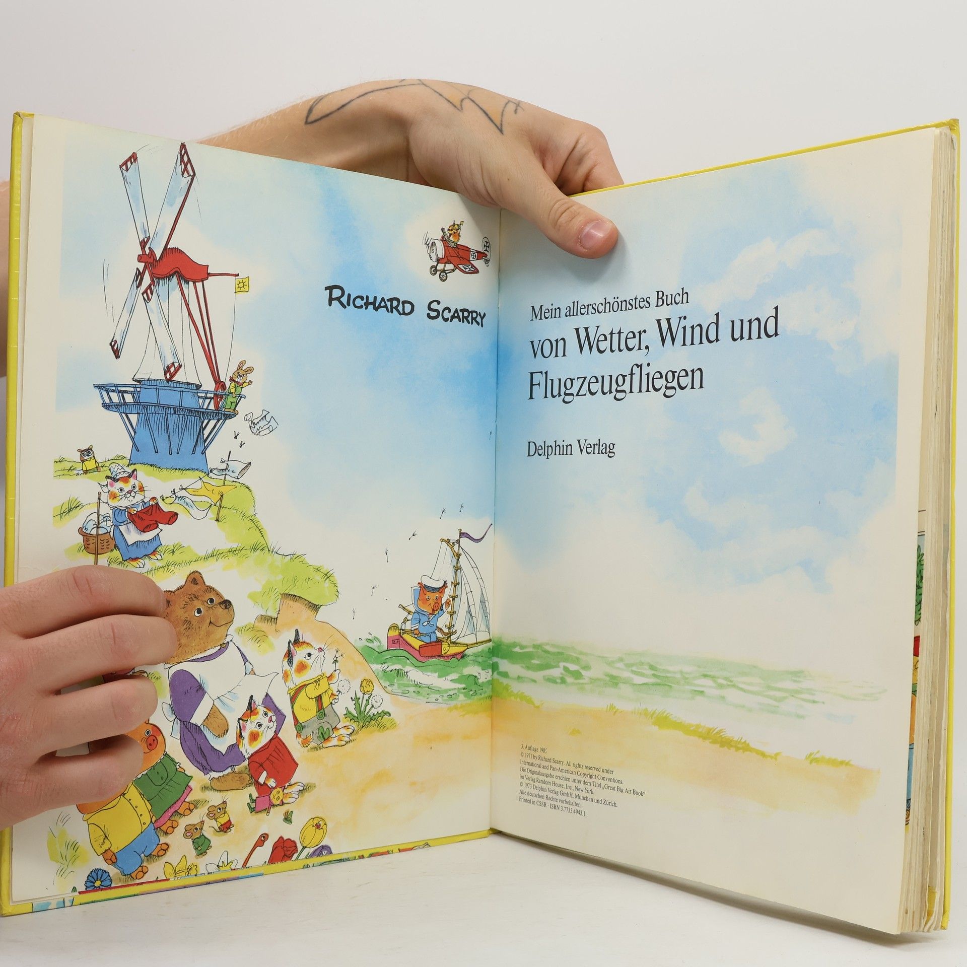 Richard Scarry Mein allerschönstes Buch von Wetter, Wind und Flugzeugfliegen
