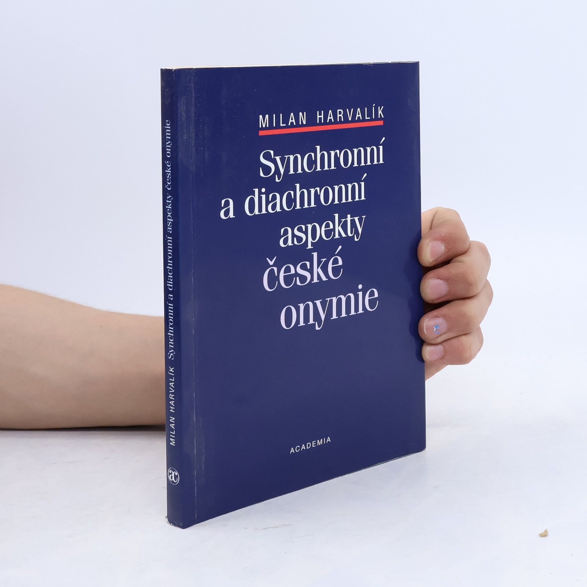 Synchronní a diachronní aspekty české onymie