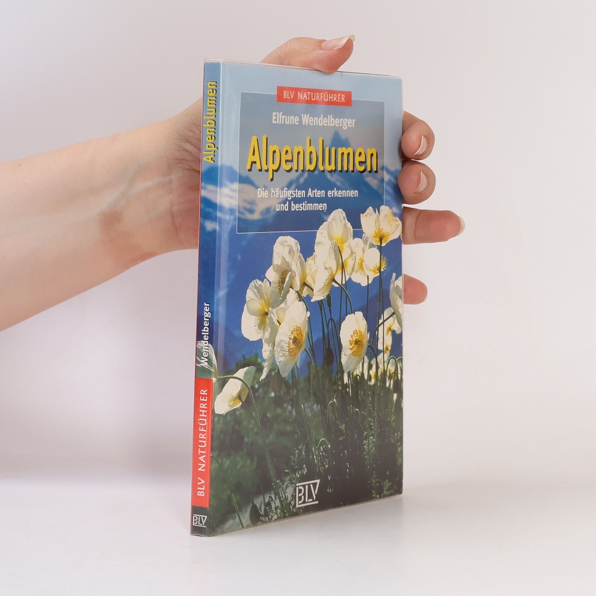 Elfrune Wendelberger Alpenblumen