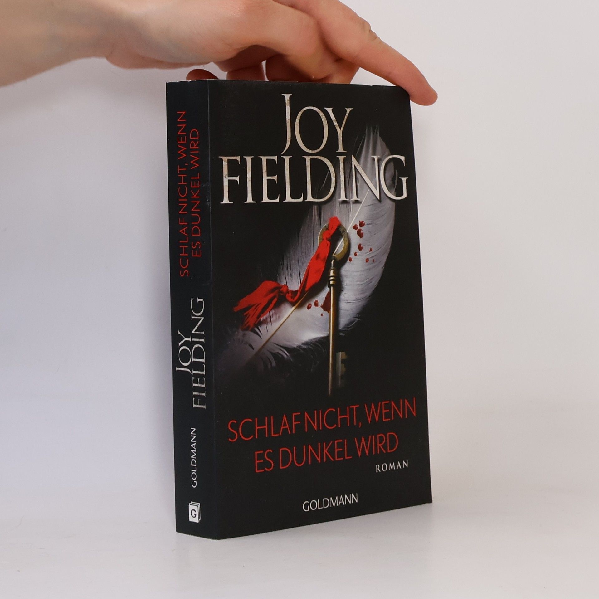 Joy Fielding Schlaf nicht, wenn es dunkel wird